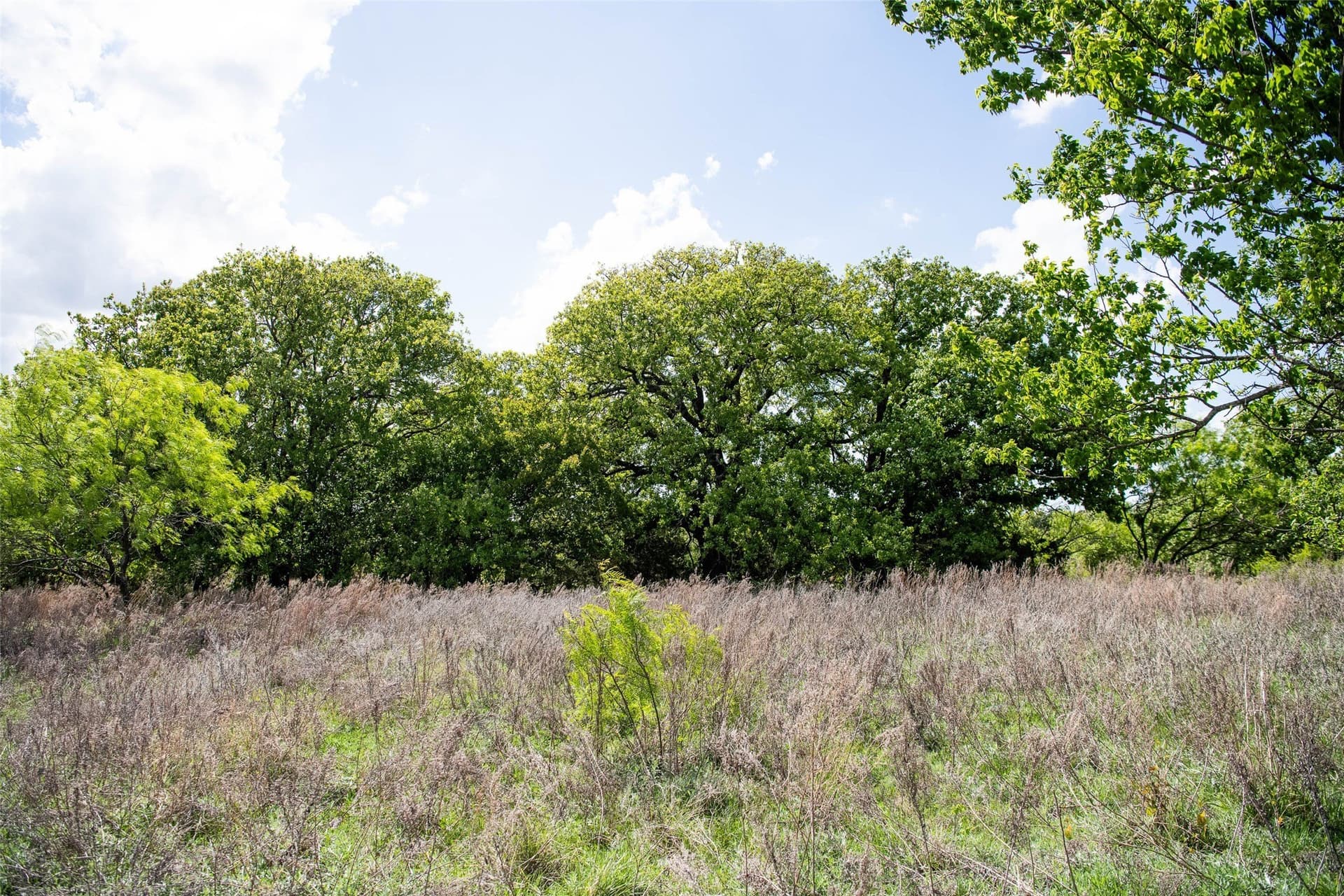 5.01 acres in Montague County - photo 16