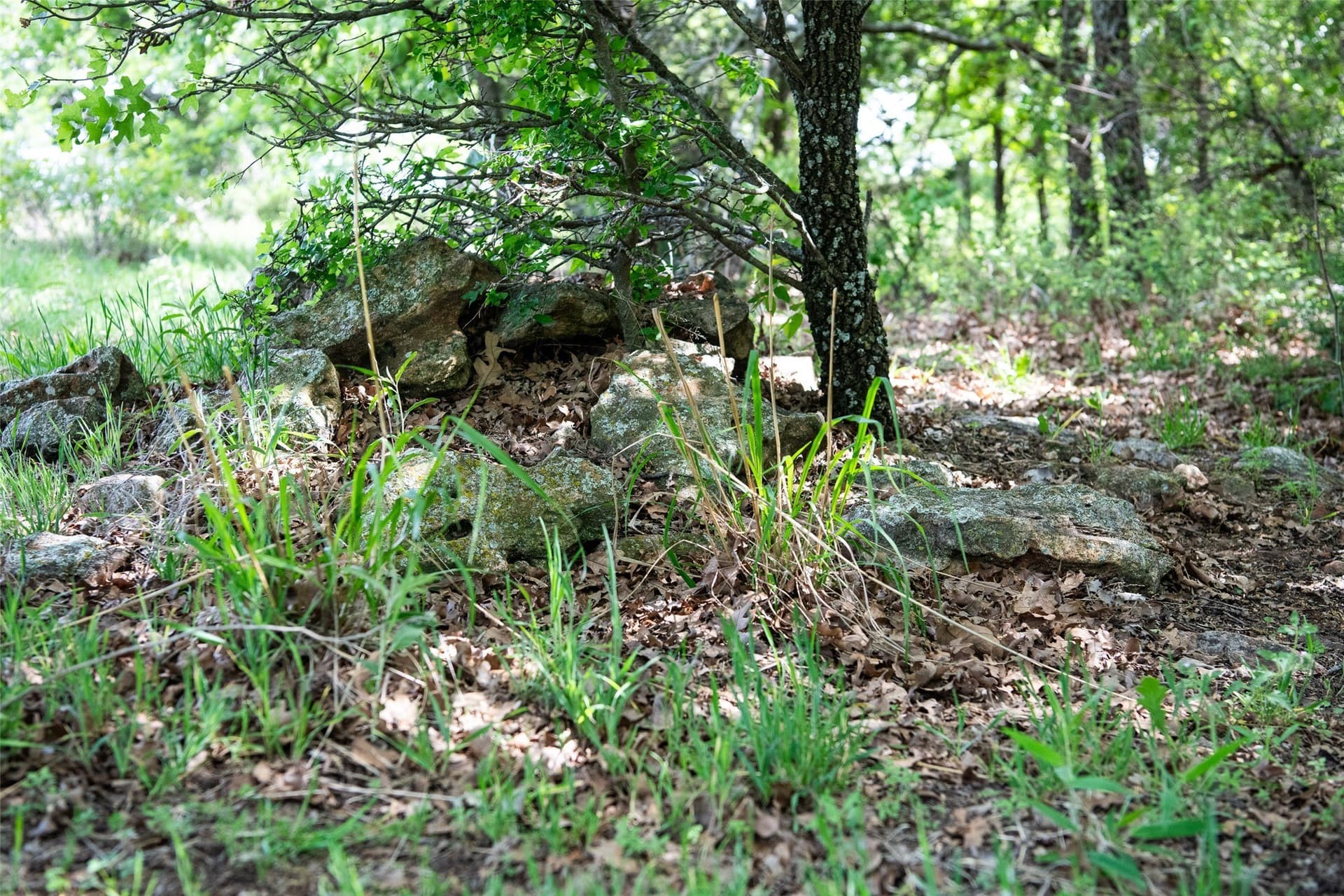 5.01 acres in Montague County - photo 31
