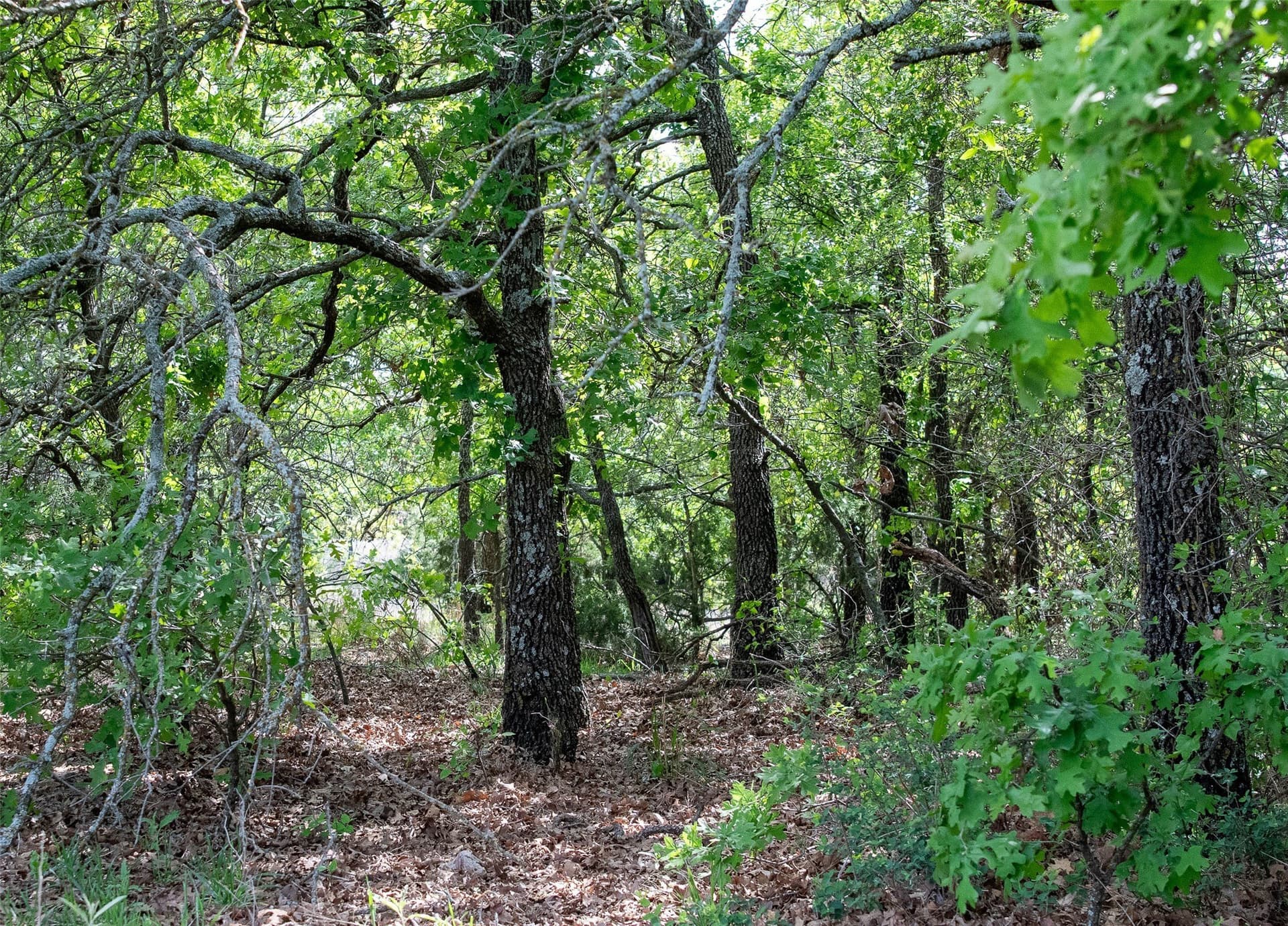 5.01 acres in Montague County - photo 18