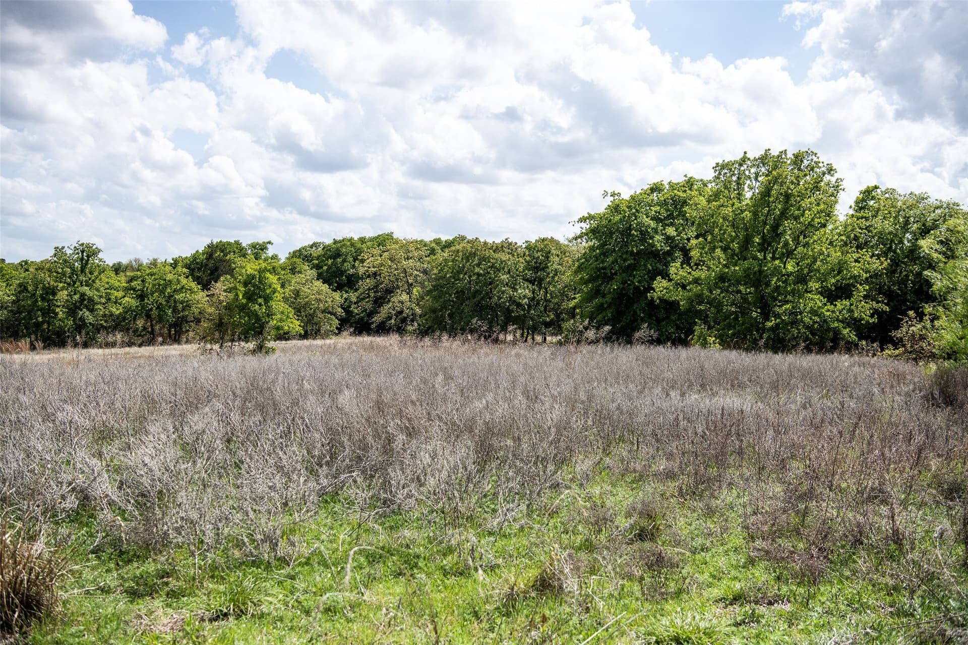 5.01 acres in Montague County - photo 15
