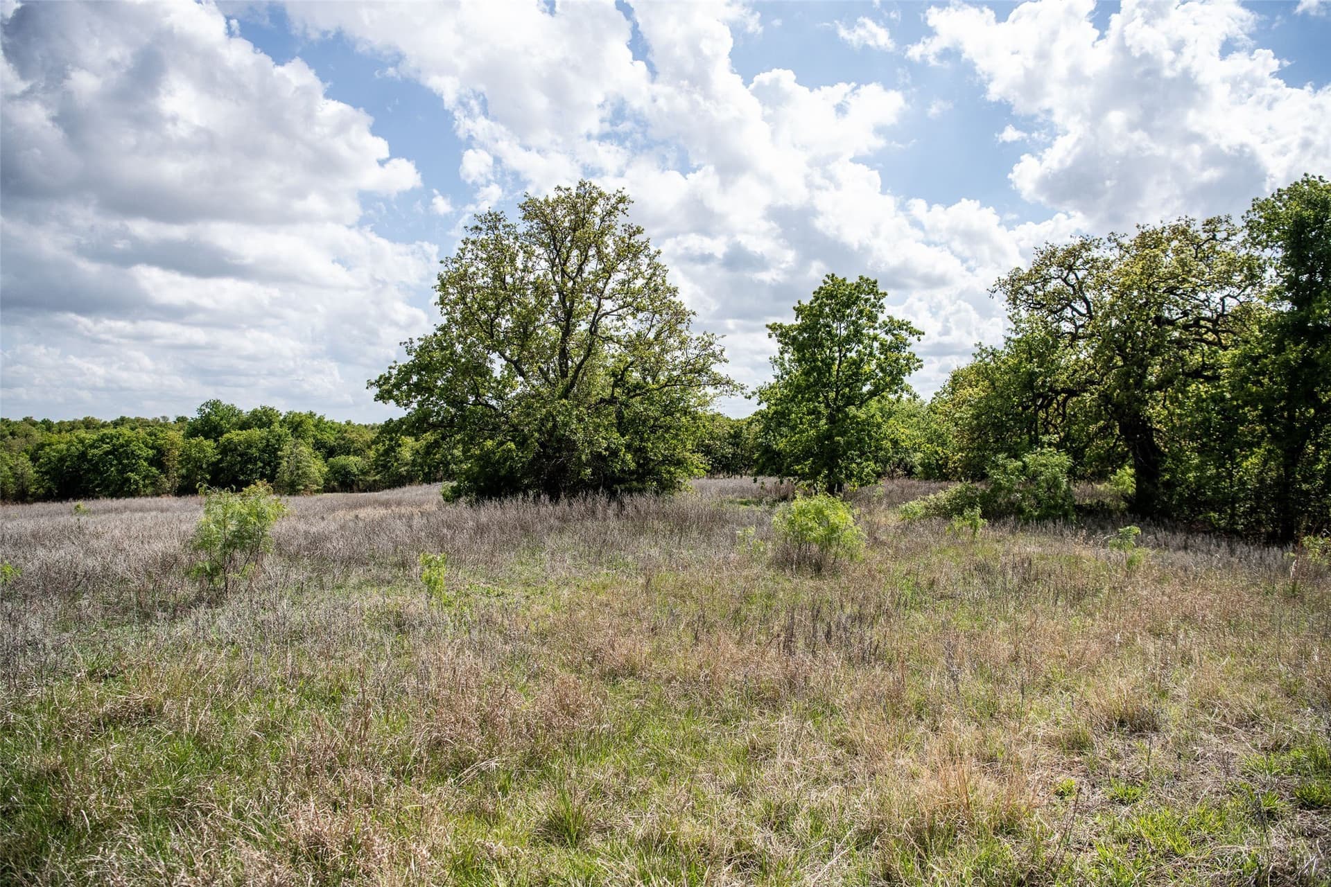 5.01 acres in Montague County - photo 28