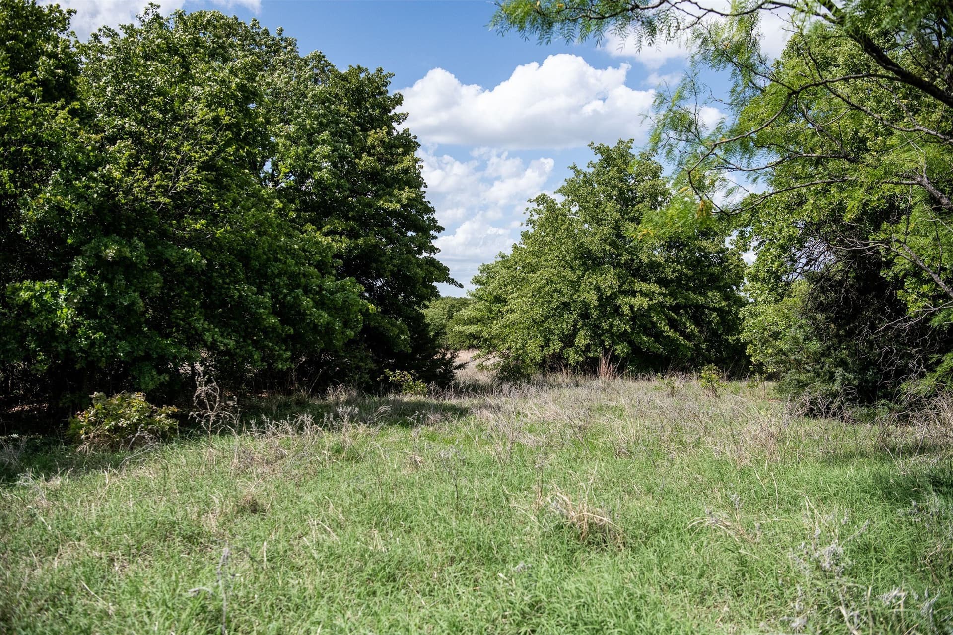 5.01 acres in Montague County - photo 9