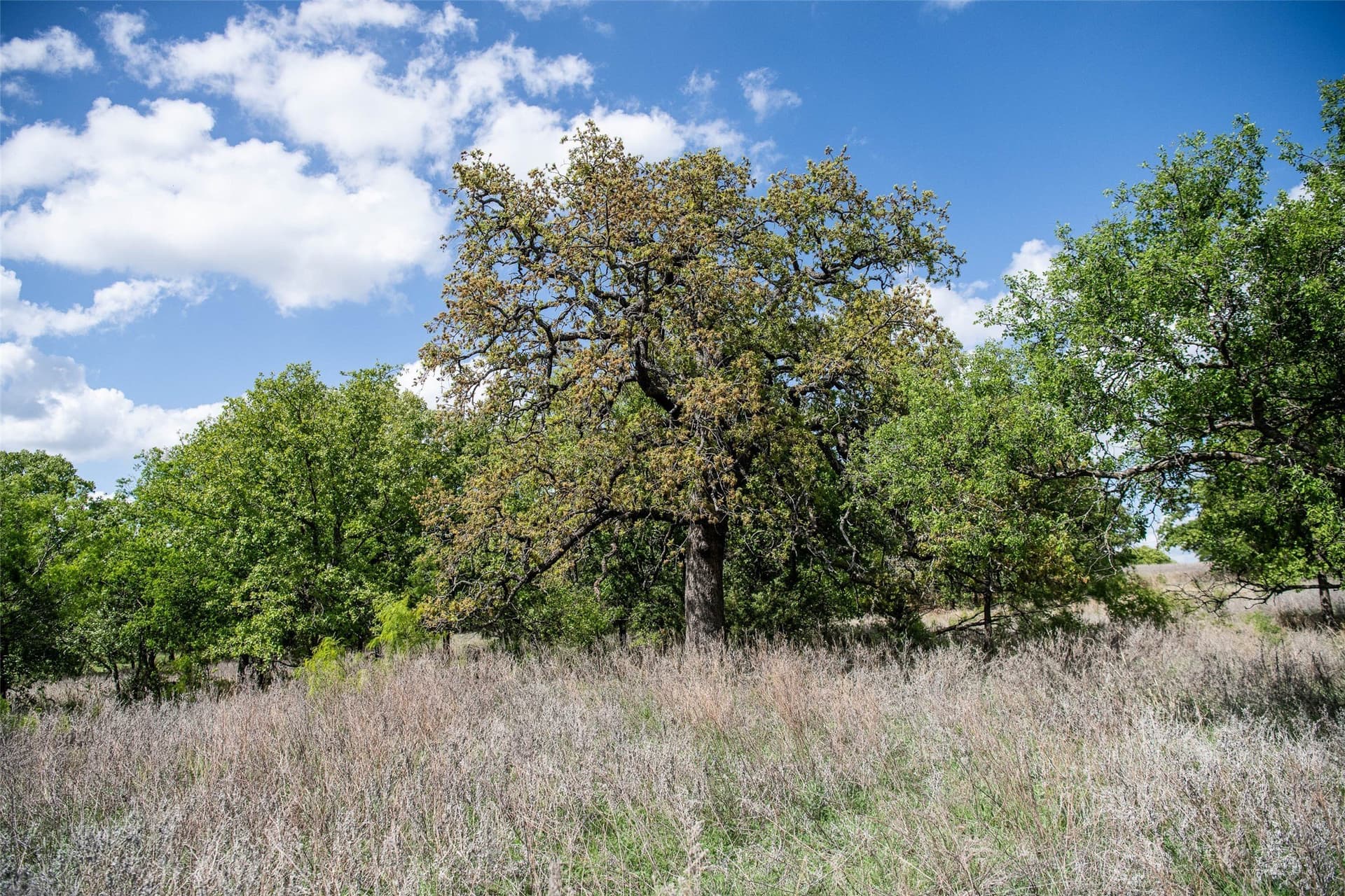5.01 acres in Montague County - photo 14