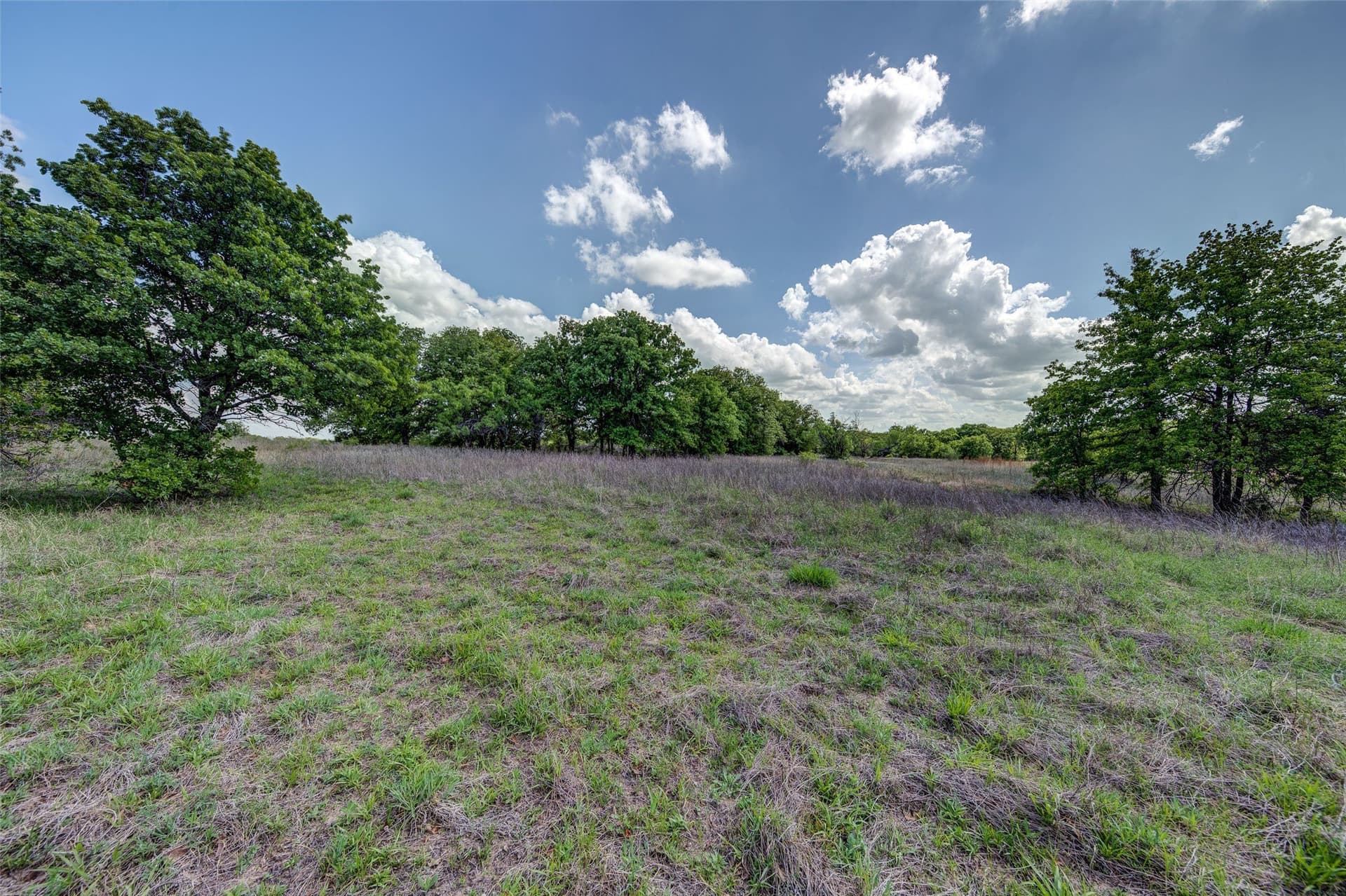 5.01 acres in Montague County gallery image 4