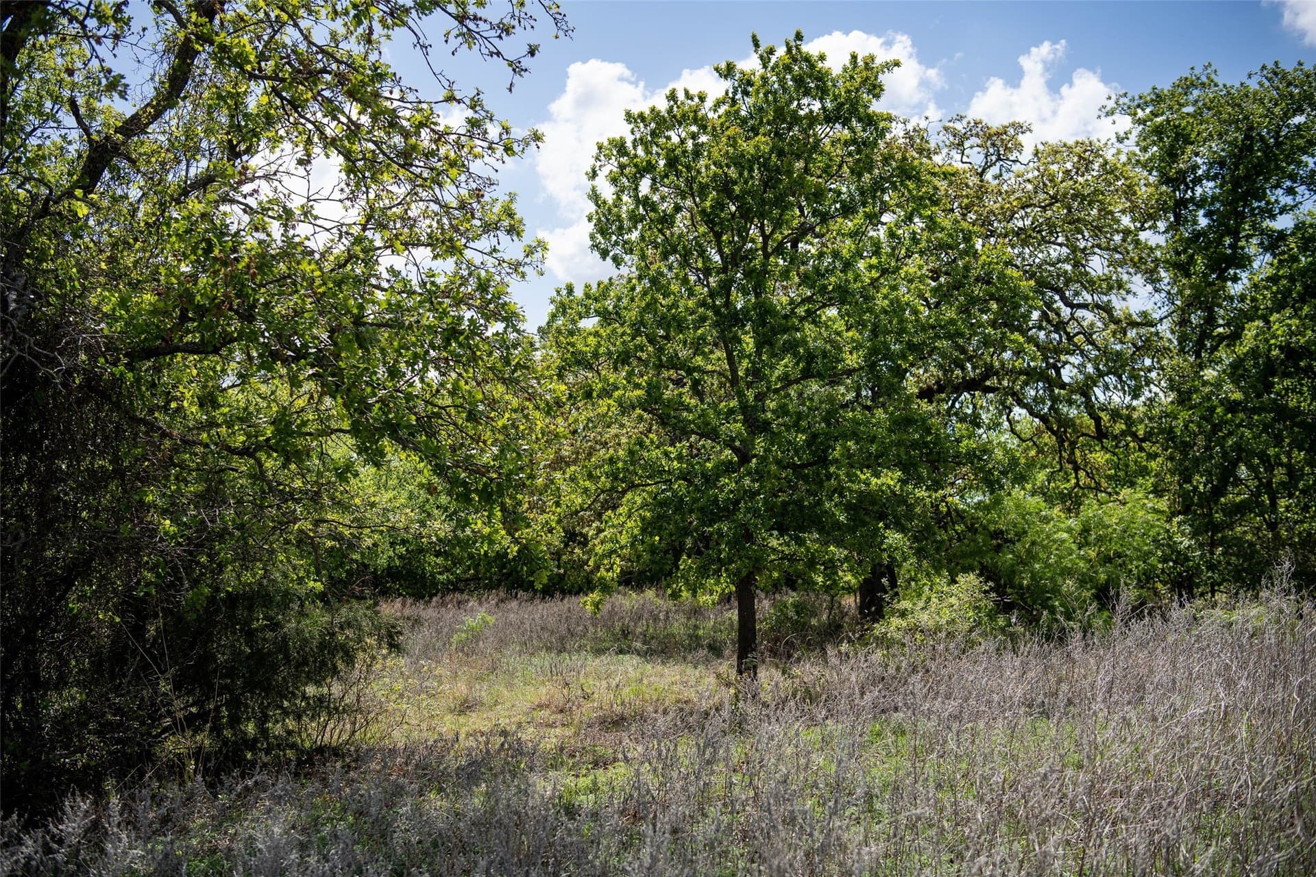 5.01 acres in Montague County - photo 7
