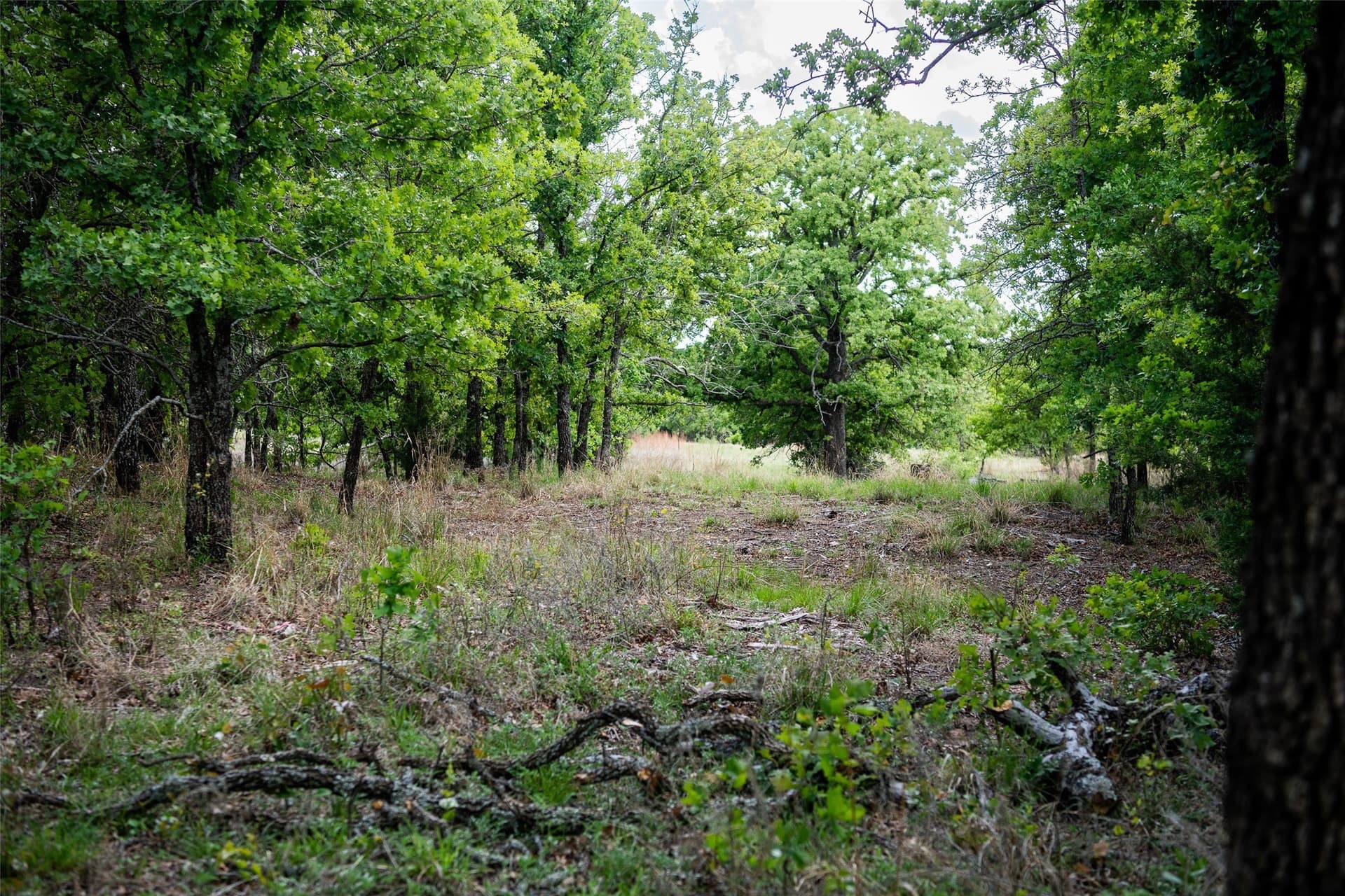 5.01 acres in Montague County - photo 10