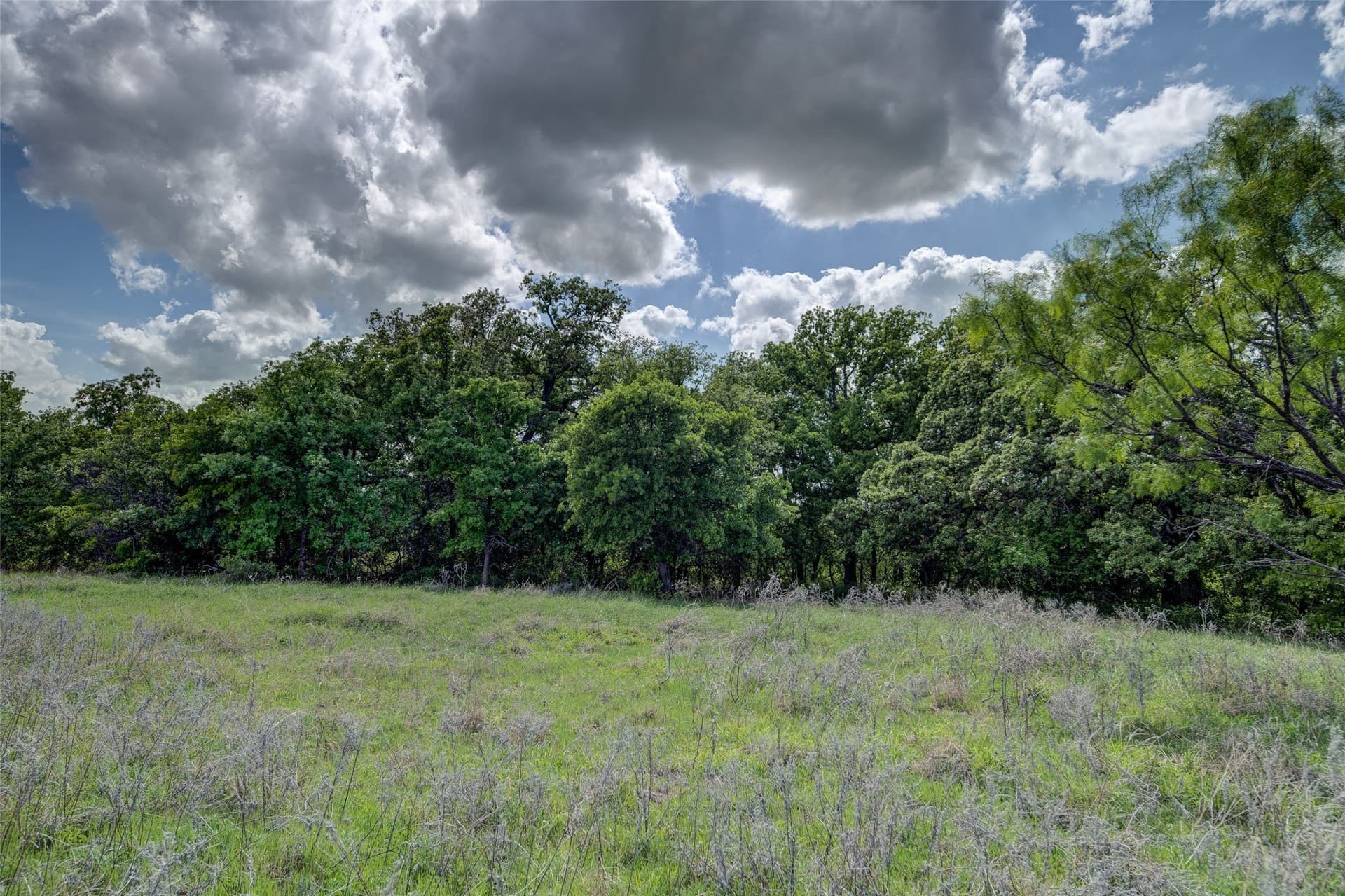 5.01 acres in Montague County - photo 23