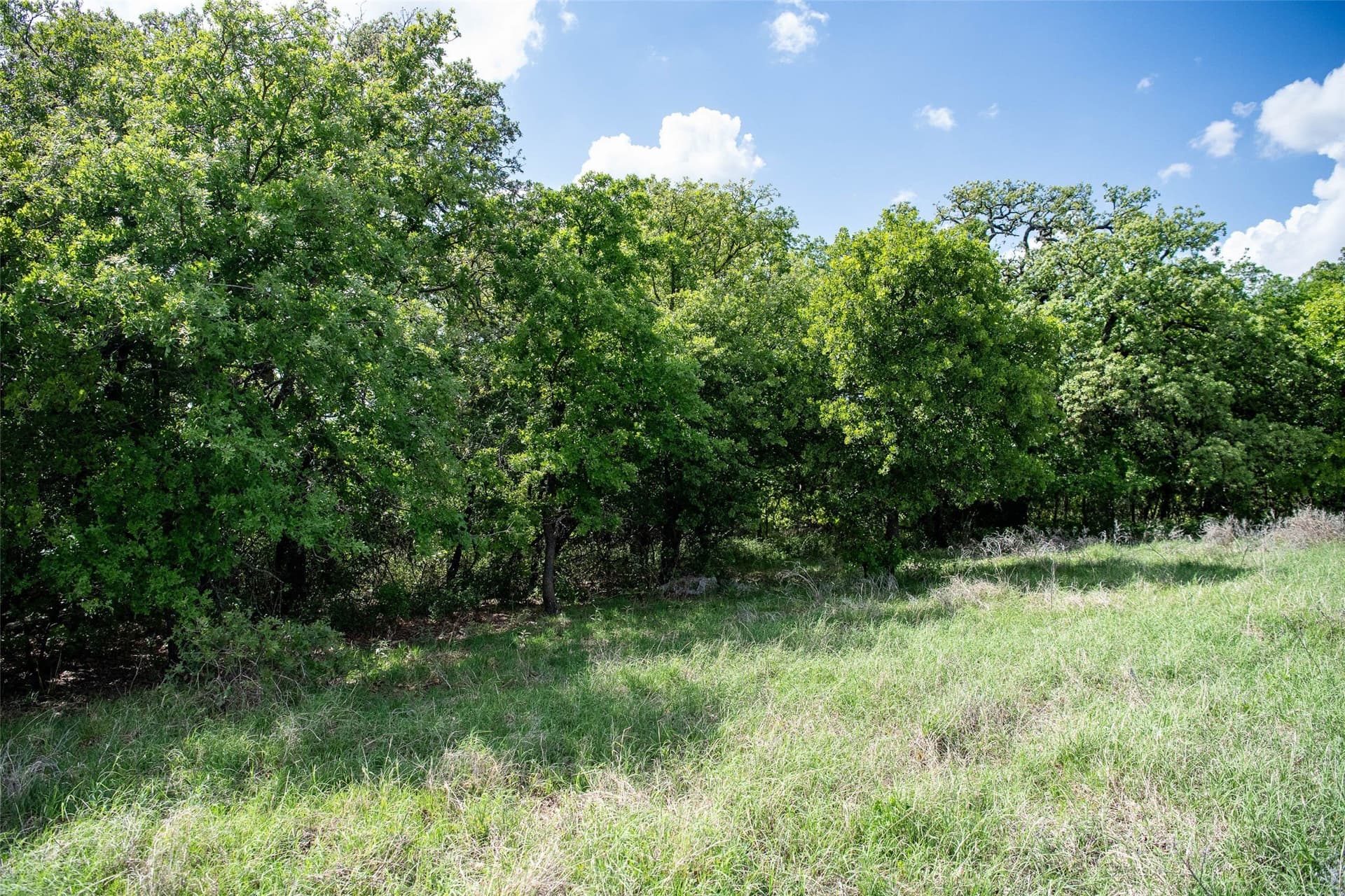 5.01 acres in Montague County - photo 21