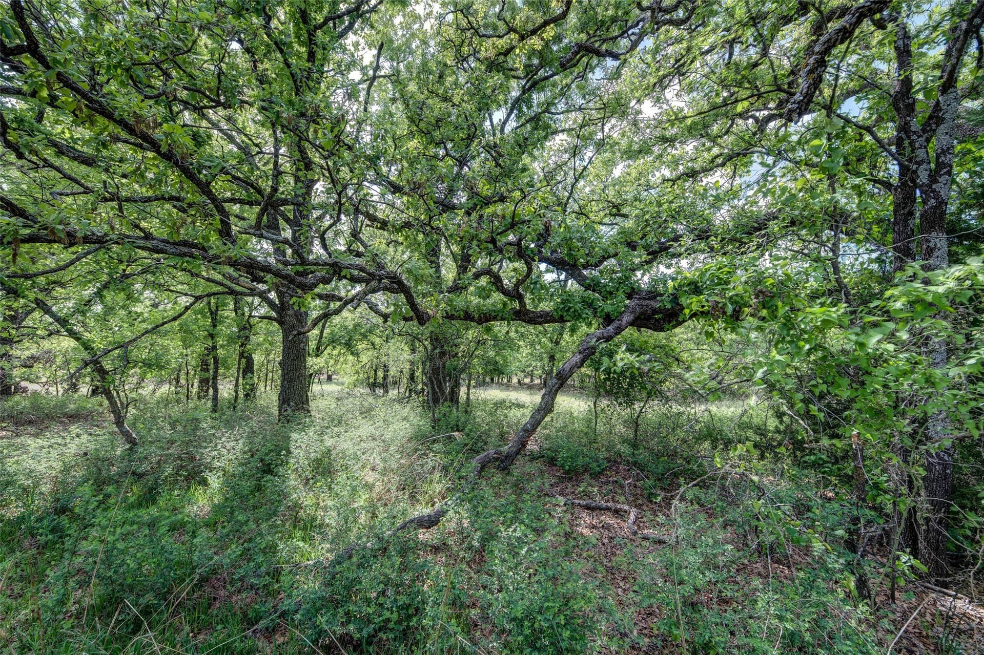 5.01 acres in Montague County - photo 19