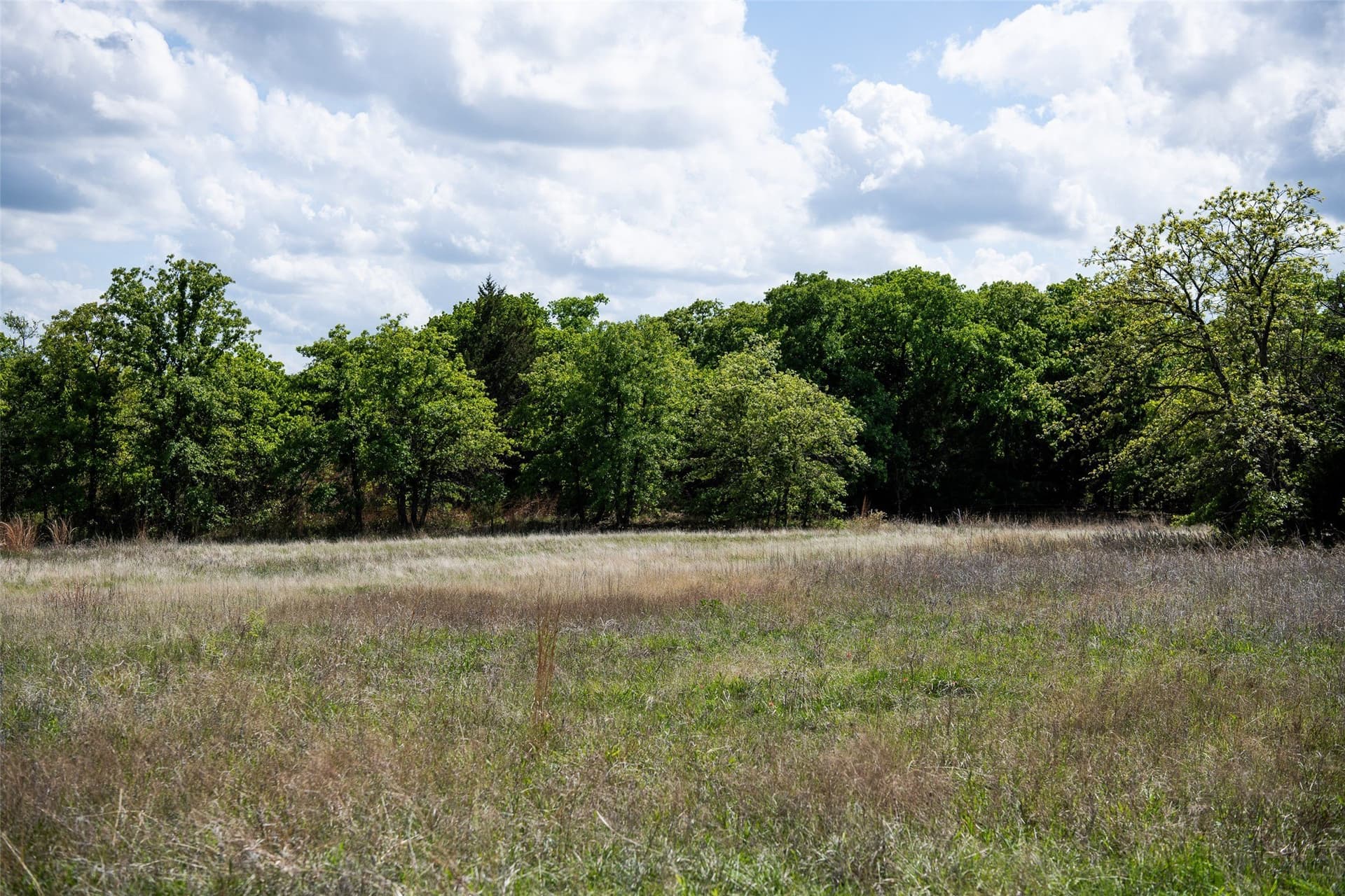 5.01 acres in Montague County - photo 11