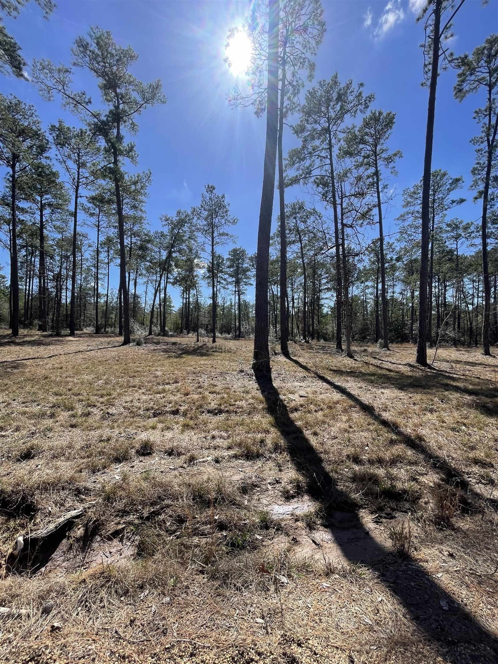 1 acres in Texas County gallery image 3