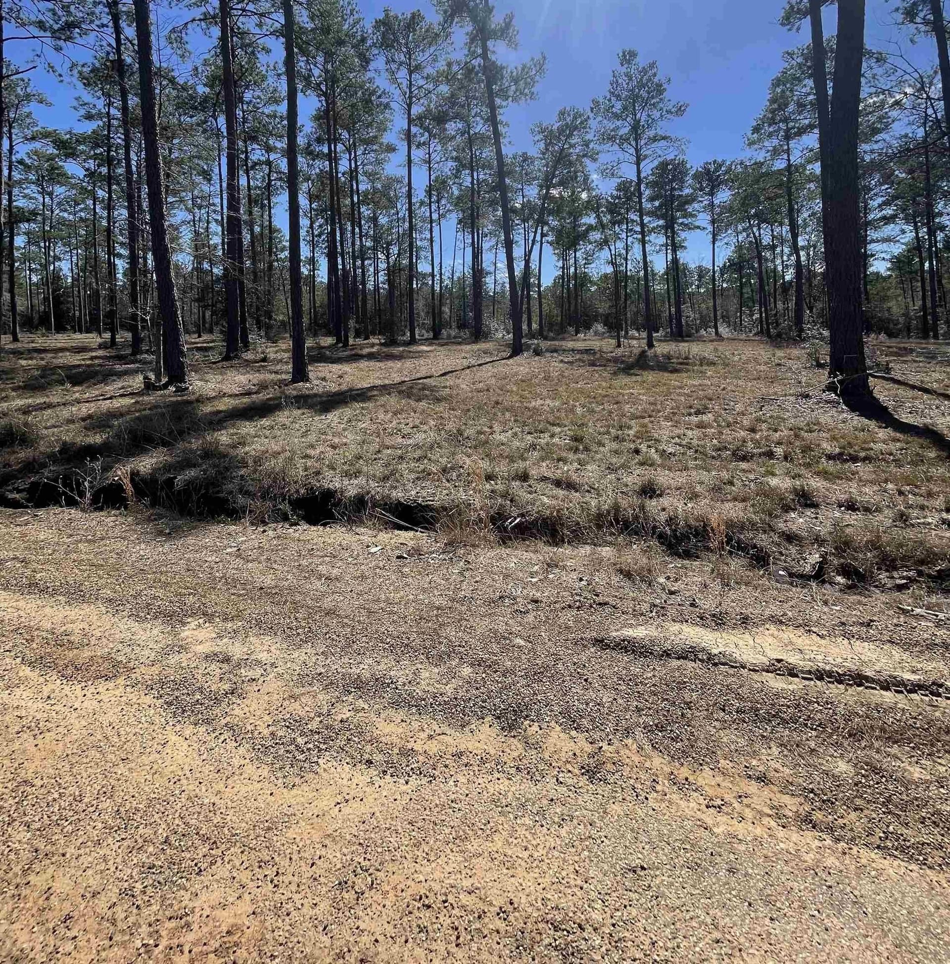 1 acres in Texas County