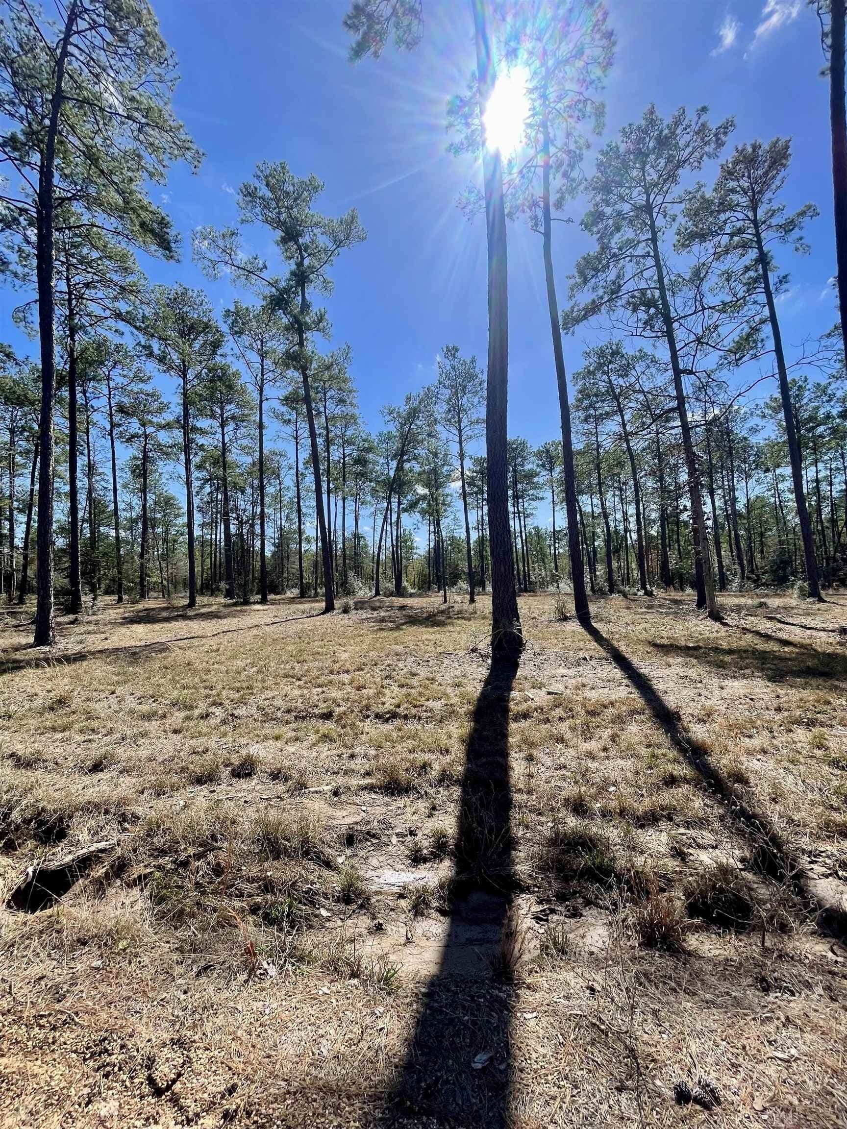 1 acres in Texas County - photo 7