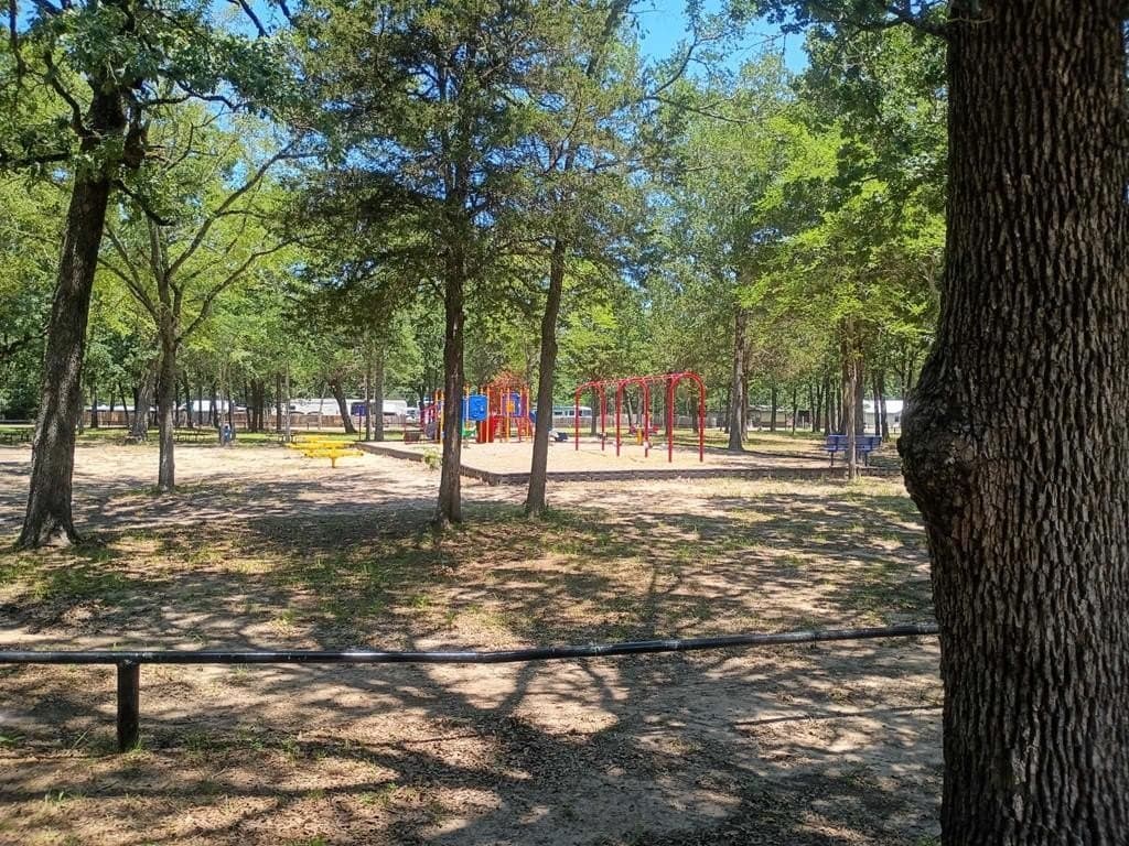 0 acres in Henderson County - photo 10