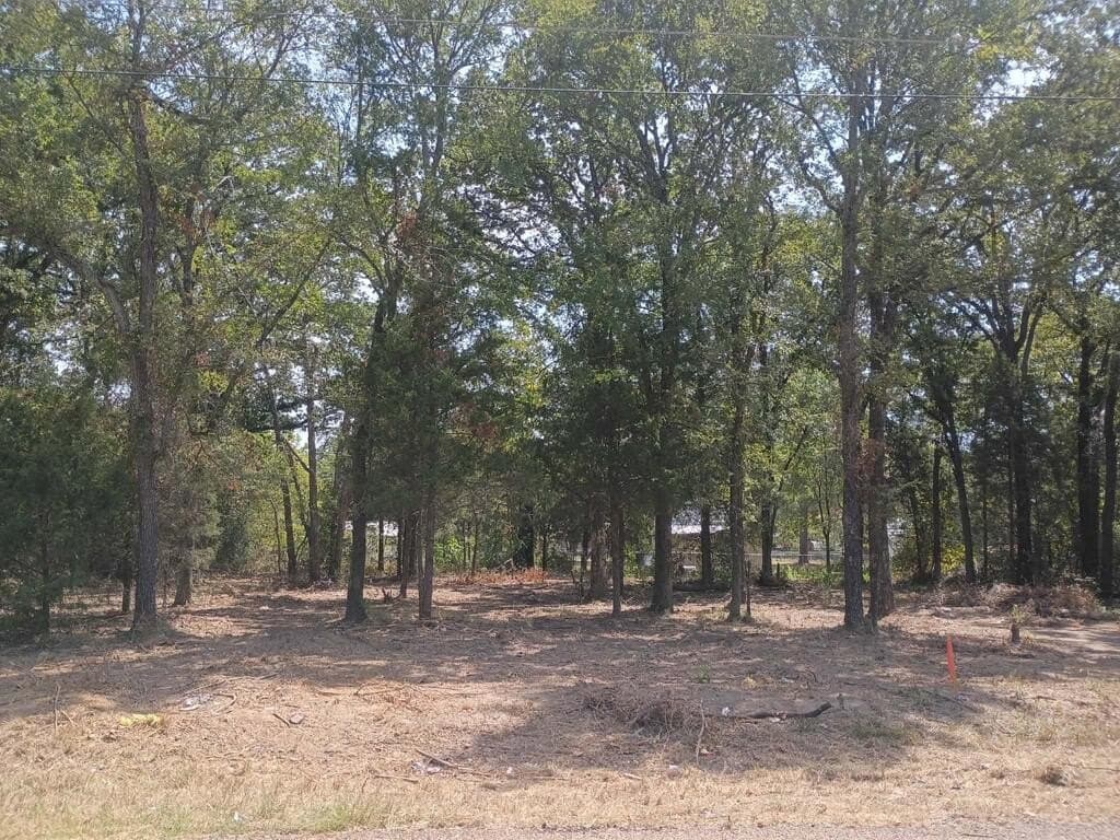 0 acres in Henderson County - photo 3