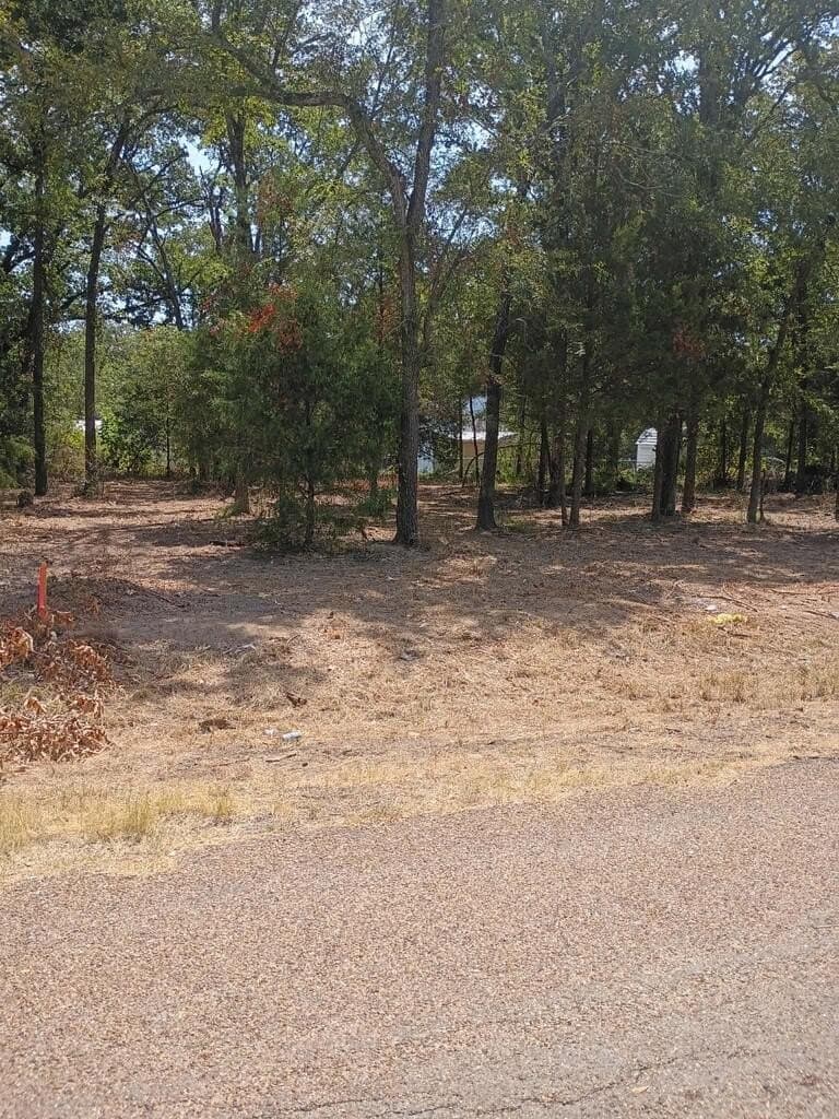 0 acres in Henderson County - photo 2