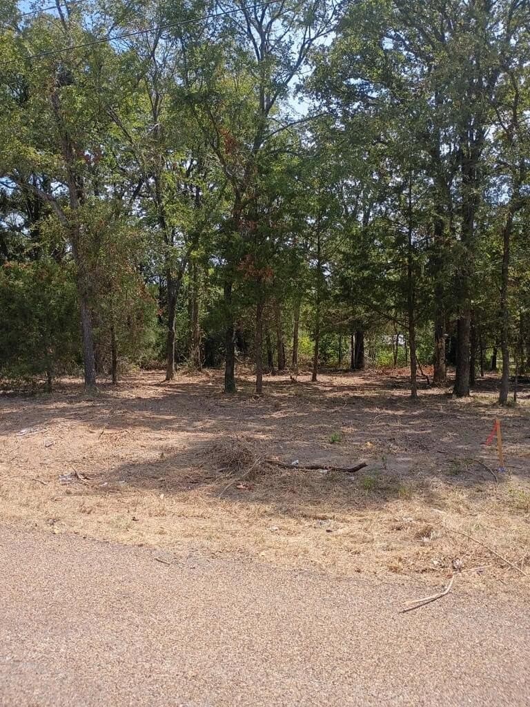 0 acres in Henderson County - photo 4