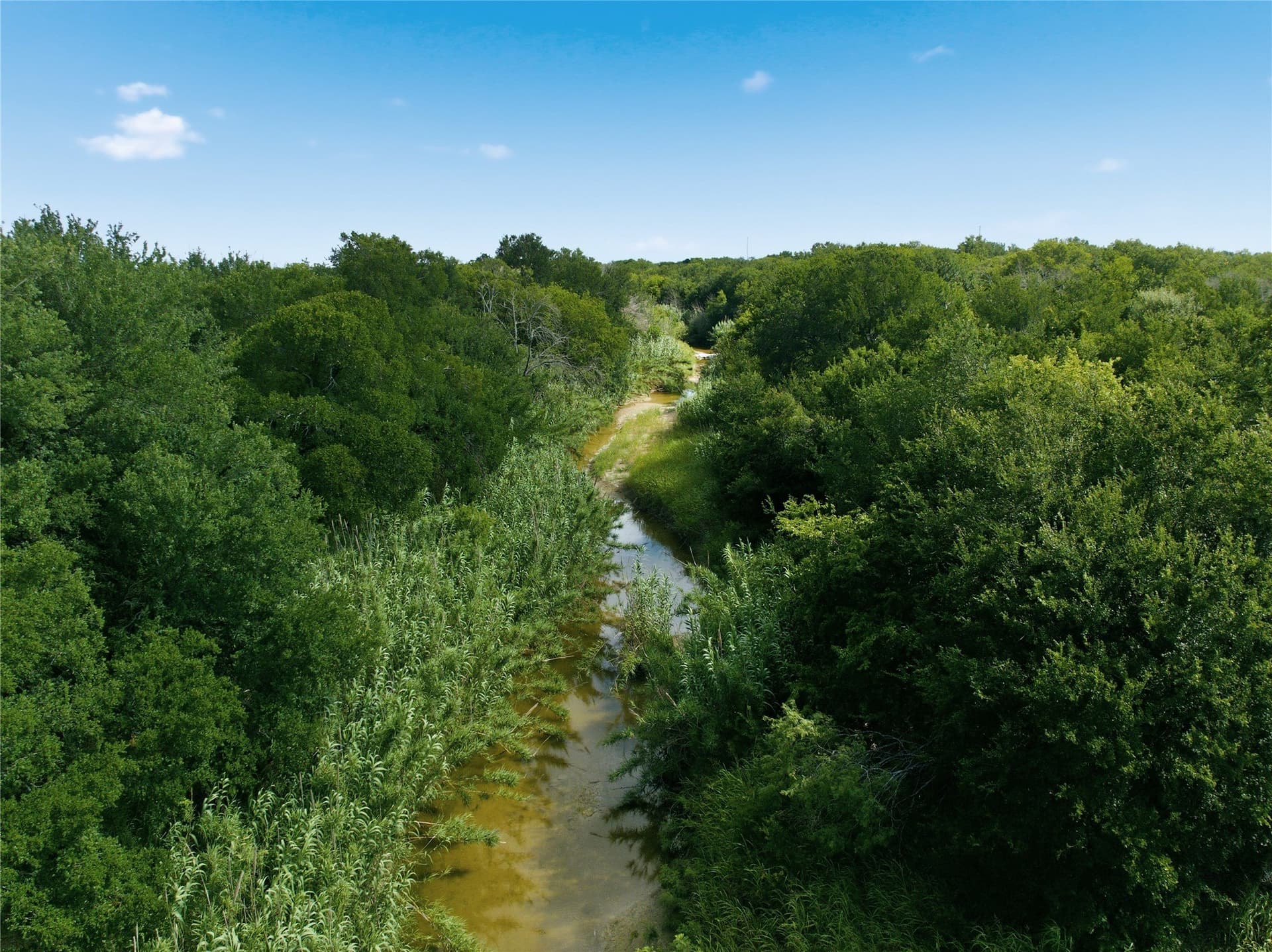 10 acres in Hill County - photo 6
