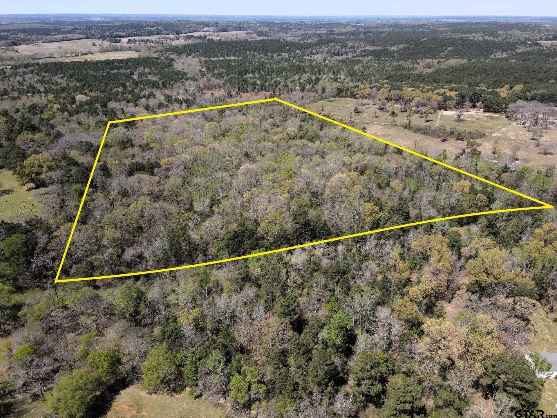22.6 acres in Cherokee County gallery image 3