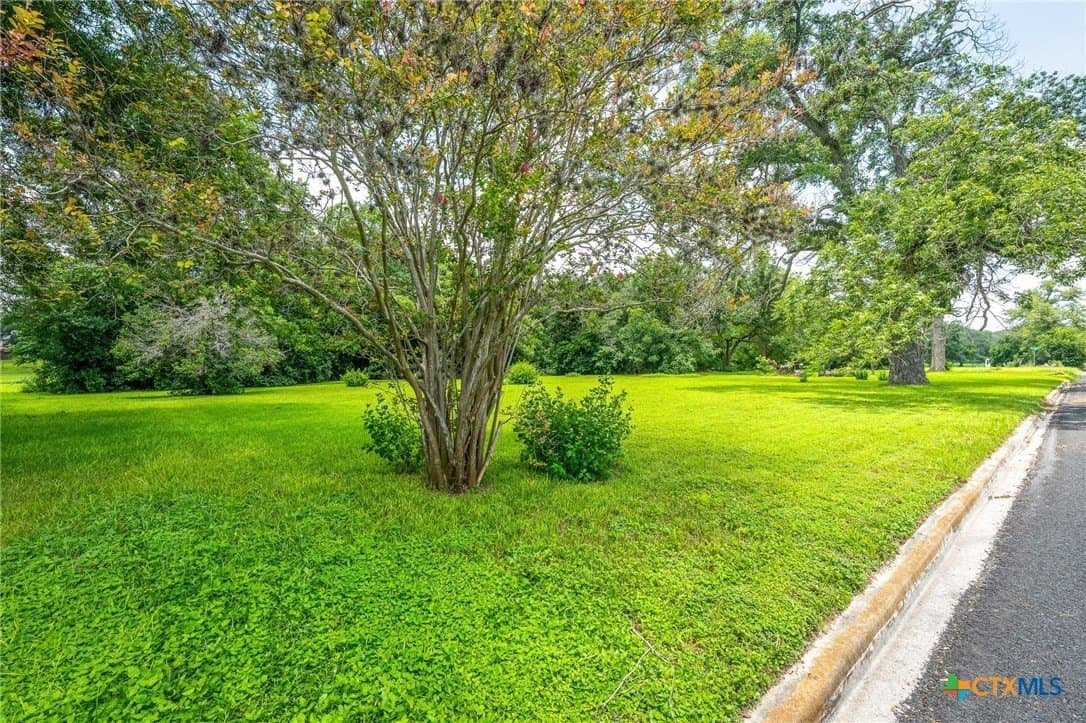 0.39 acres in Guadalupe County - photo 8