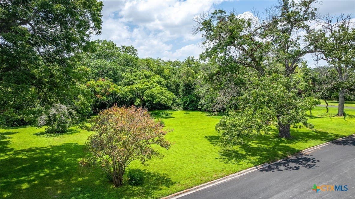 0.39 acres in Guadalupe County - photo 9