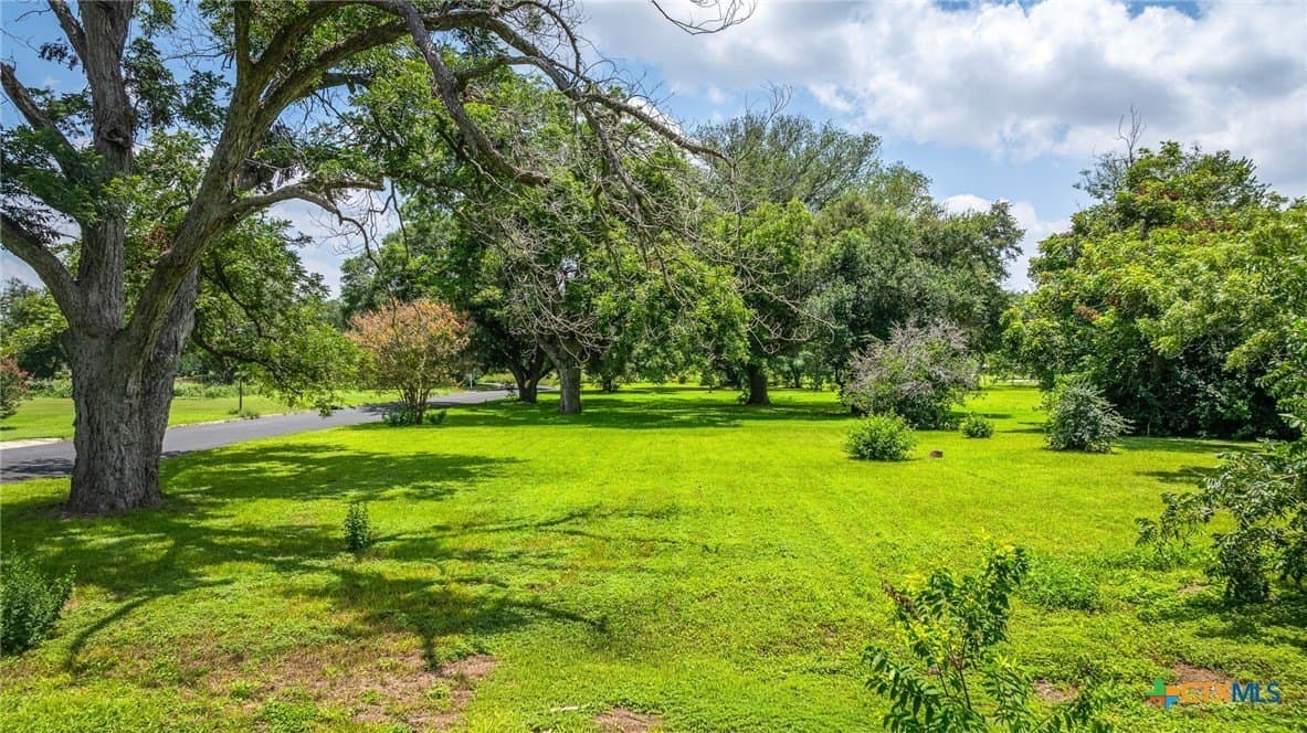 0.39 acres in Guadalupe County - photo 6