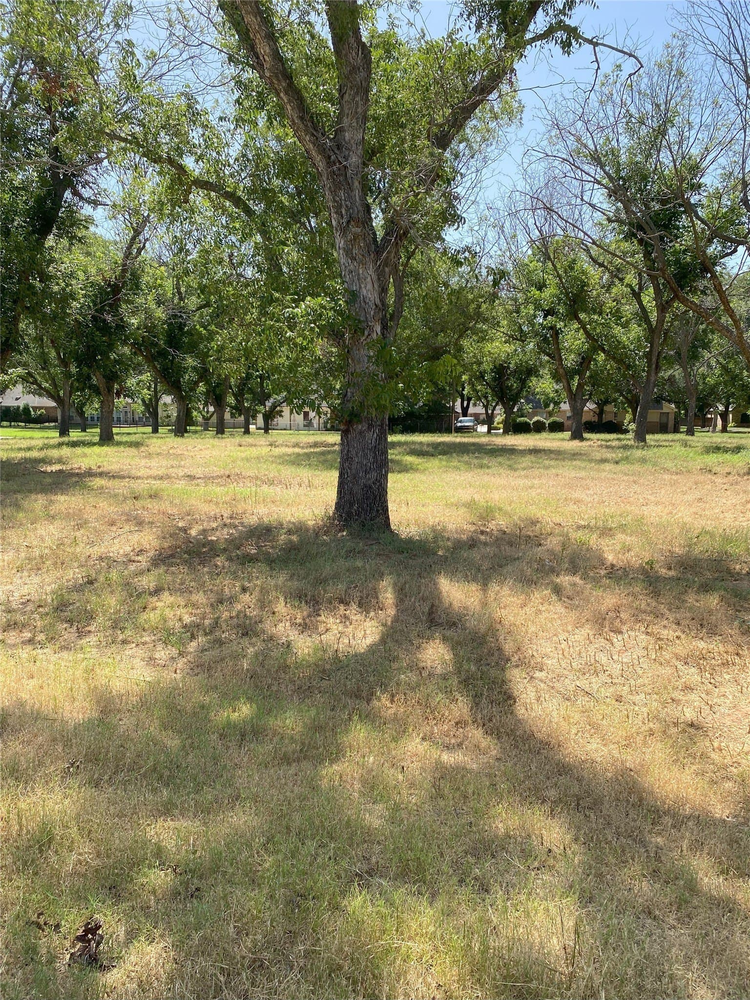 0.83 acres in Hood County gallery image 2