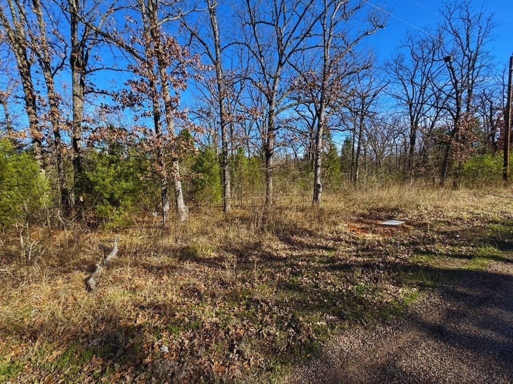 0.13 acres in Henderson County - photo 4