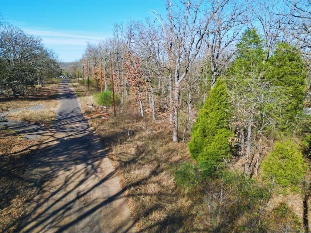 0.13 acres in Henderson County - photo 3