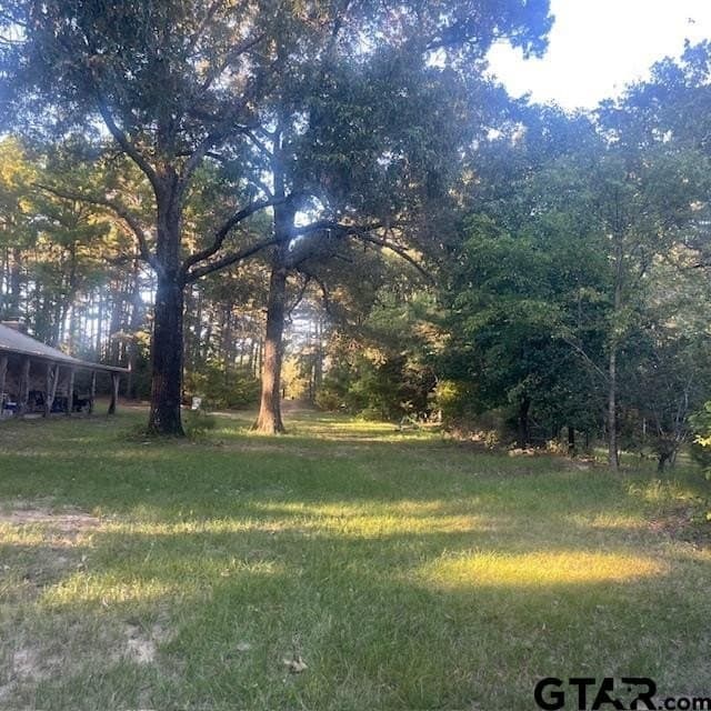 110 acres in Wood County gallery image 3