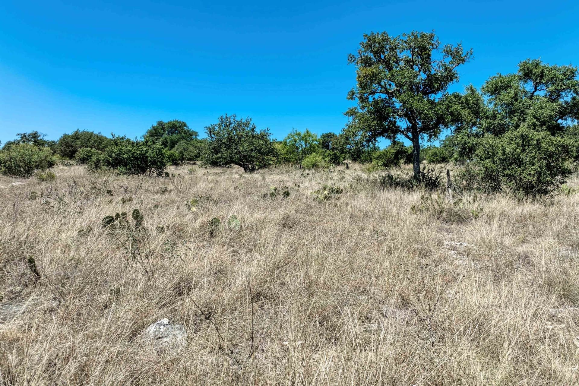 0.23 acres in Llano County - photo 7