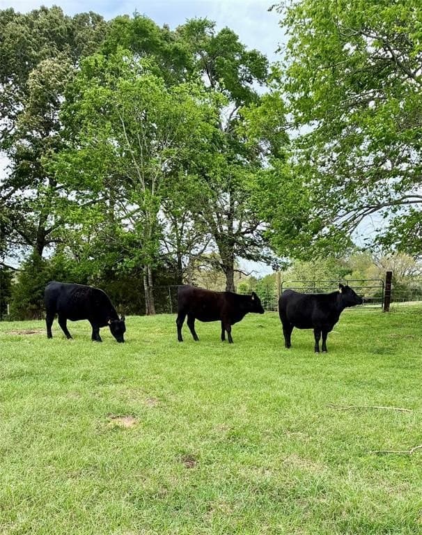 17.21 acres in Cherokee County gallery image 2