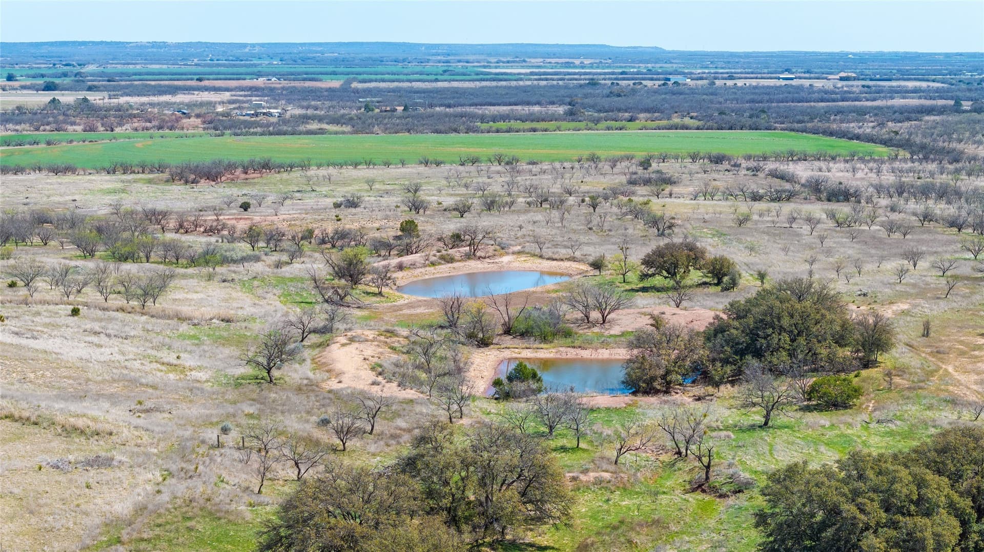 84.5 acres in Taylor County - photo 8