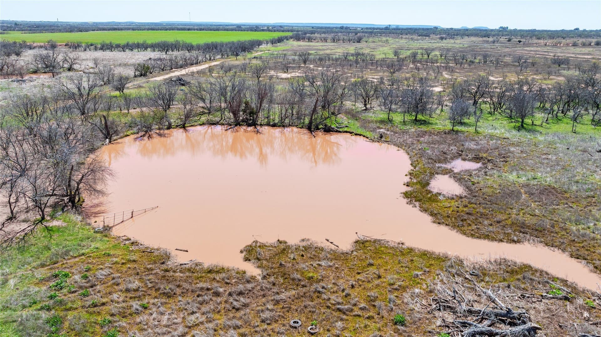 84.5 acres in Taylor County - photo 40