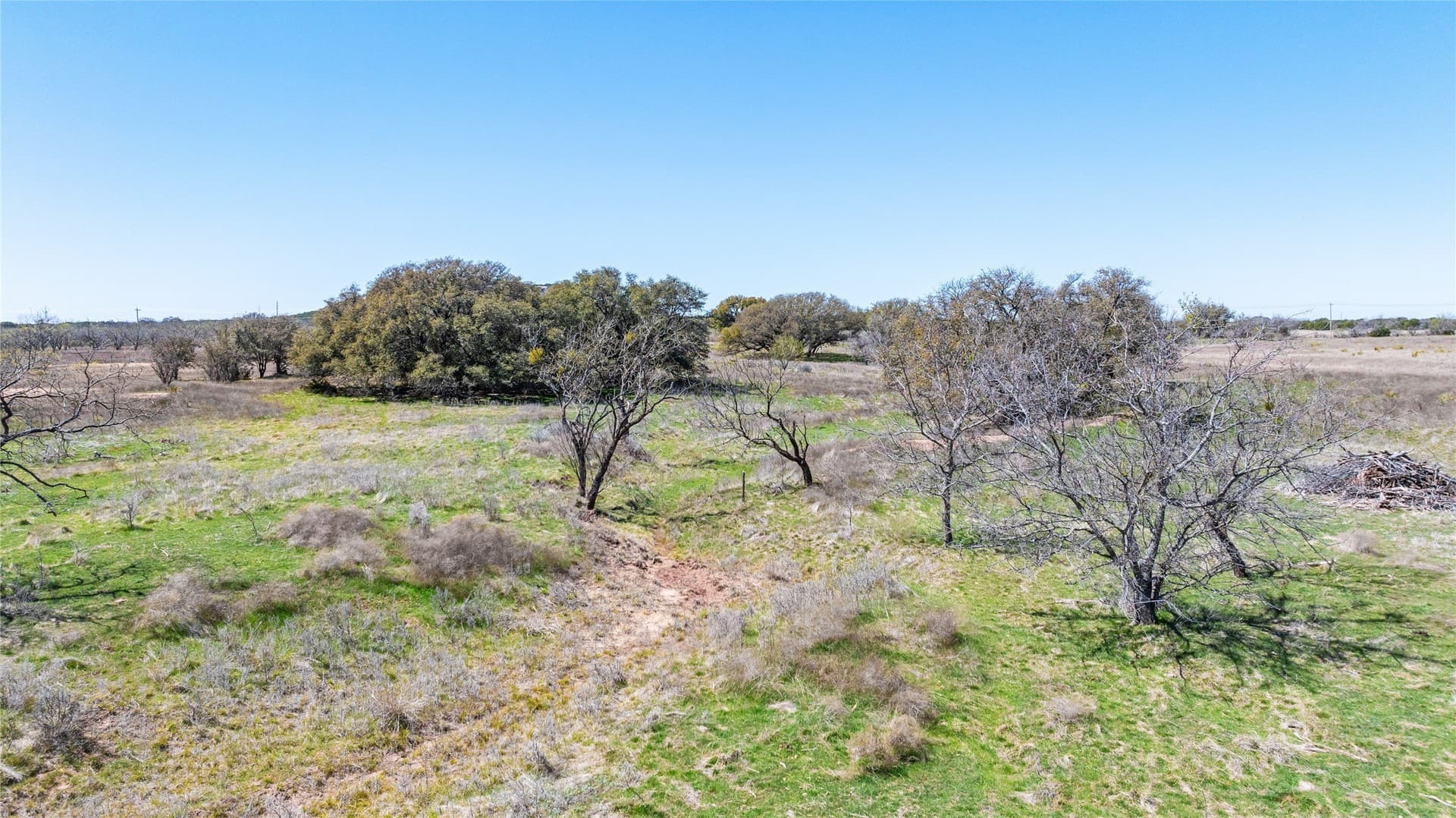 84.5 acres in Taylor County - photo 22