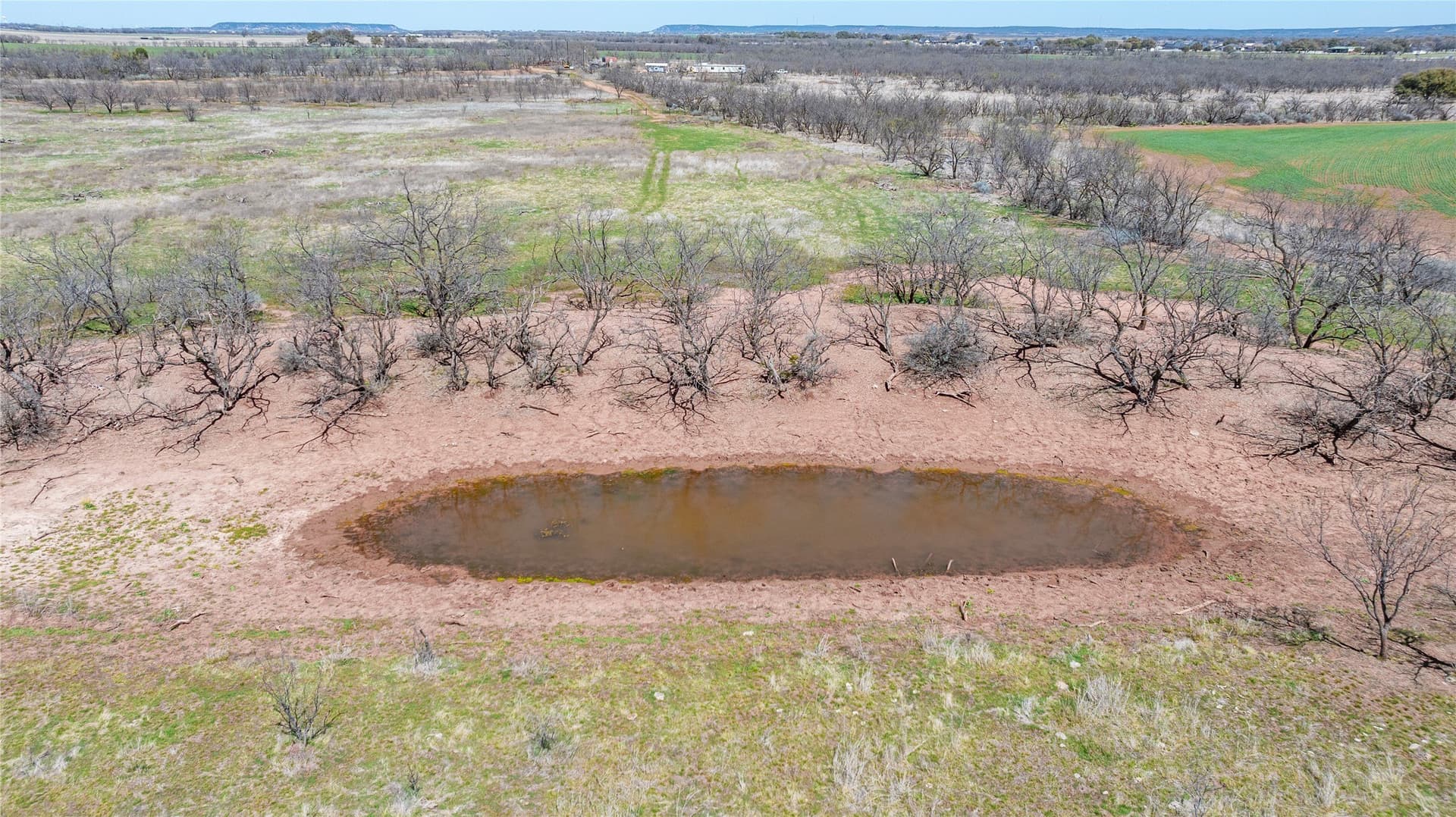 84.5 acres in Taylor County - photo 6