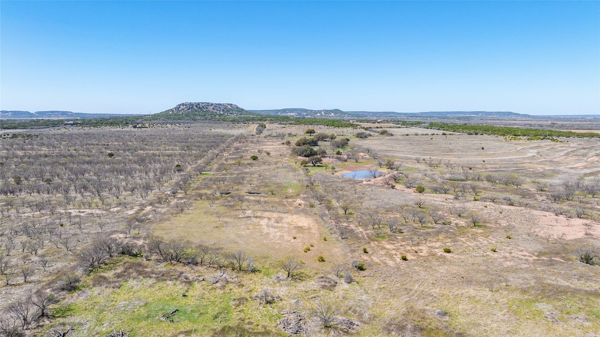 84.5 acres in Taylor County - photo 14
