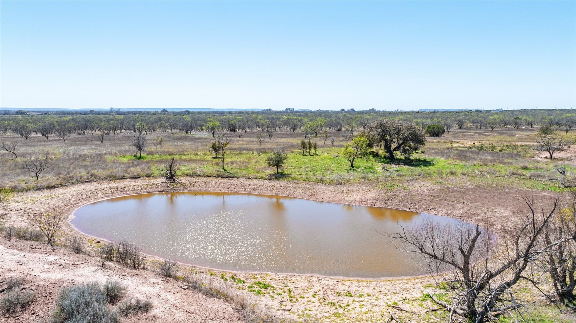 84.5 acres in Taylor County - photo 17