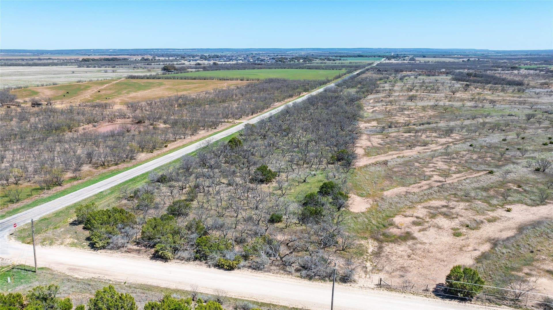 84.5 acres in Taylor County - photo 34
