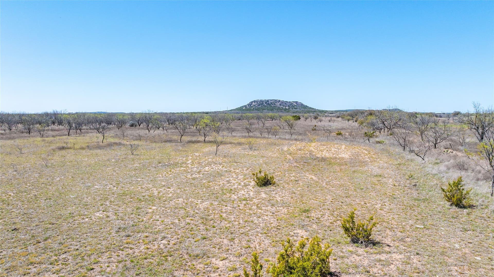 84.5 acres in Taylor County - photo 15
