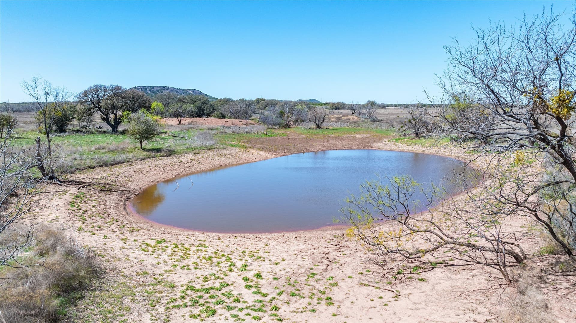 84.5 acres in Taylor County gallery image 4