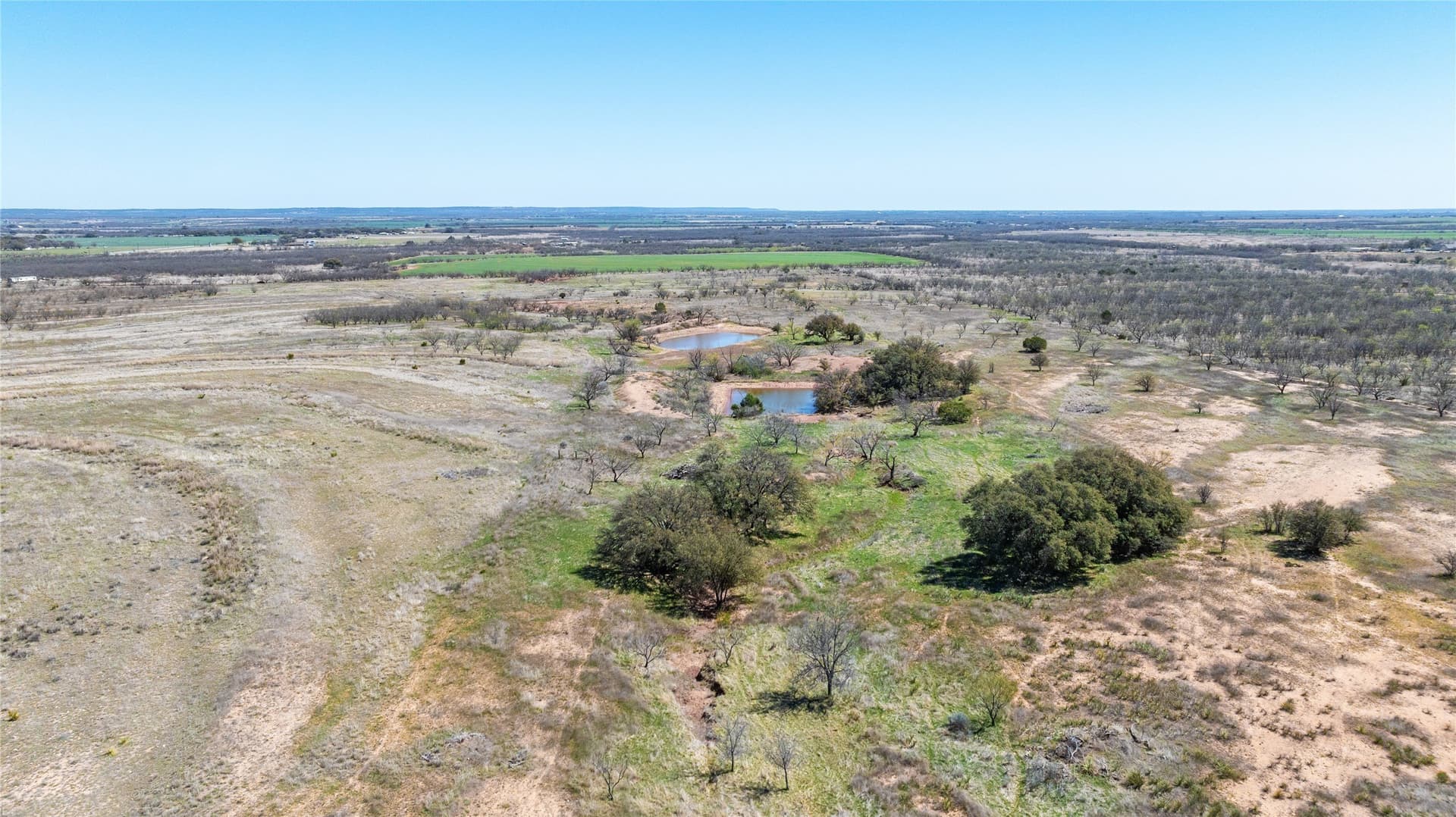 84.5 acres in Taylor County - photo 23