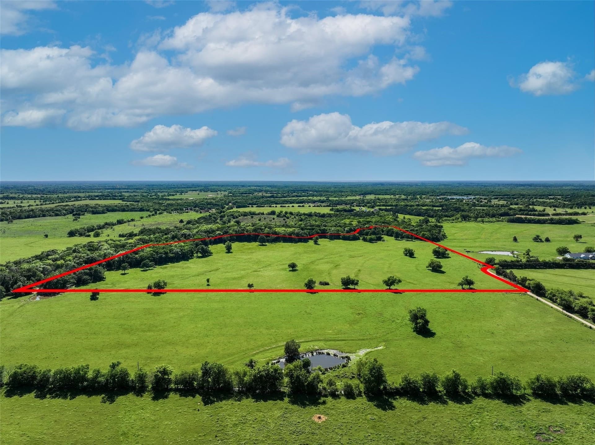 56.73 acres in Hopkins County gallery image 2