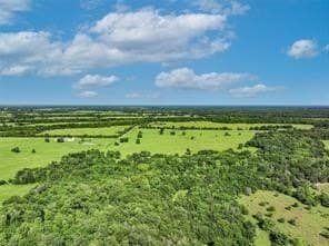 56.73 acres in Hopkins County gallery image 4