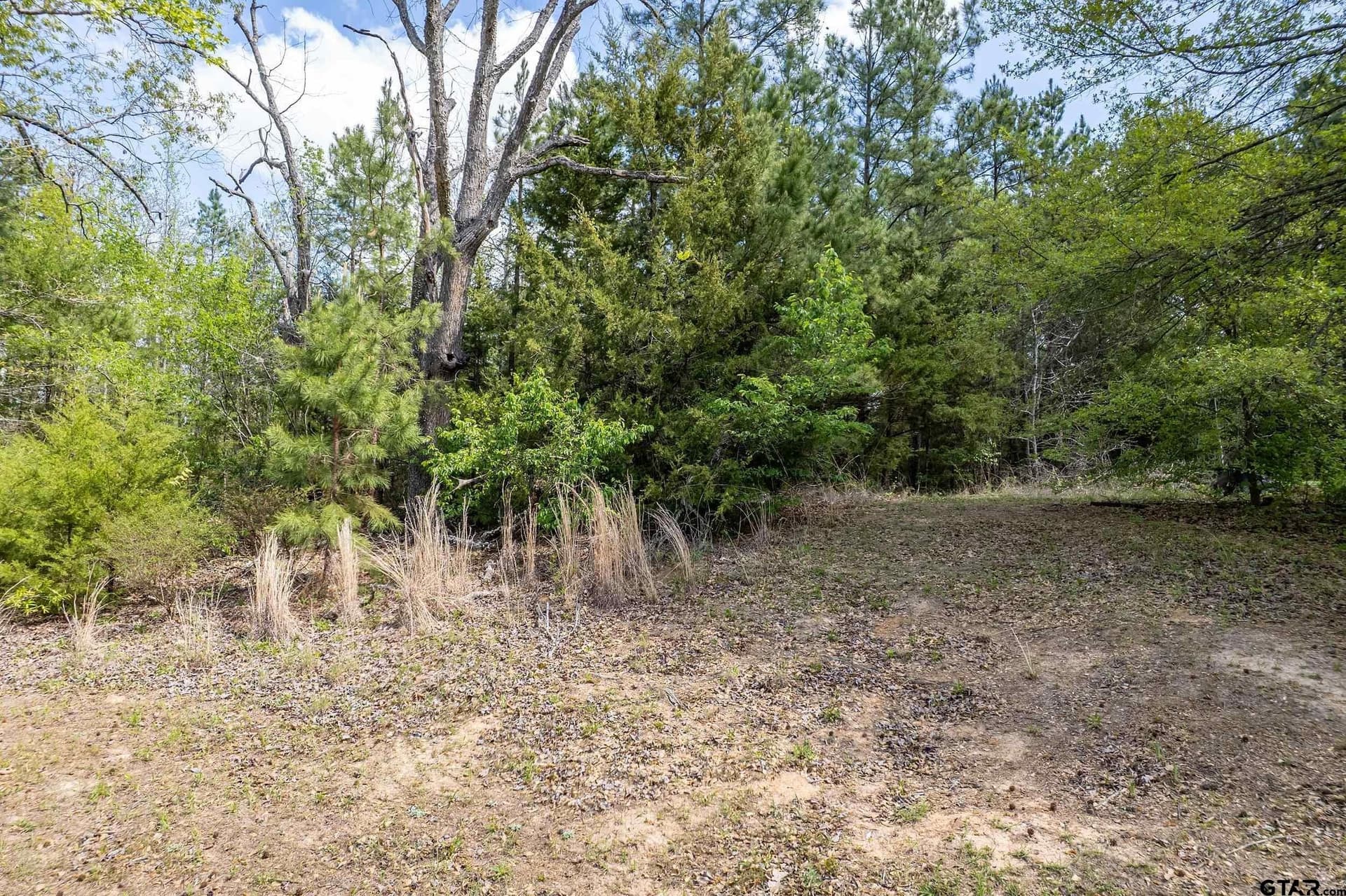 1.13 acres in Smith County - photo 7
