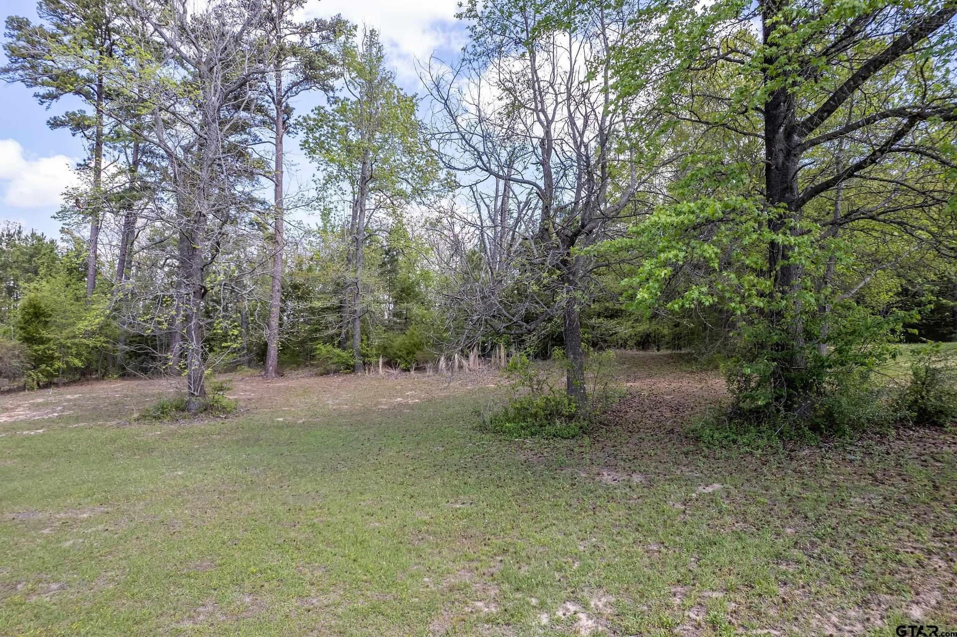 1.13 acres in Smith County - photo 4