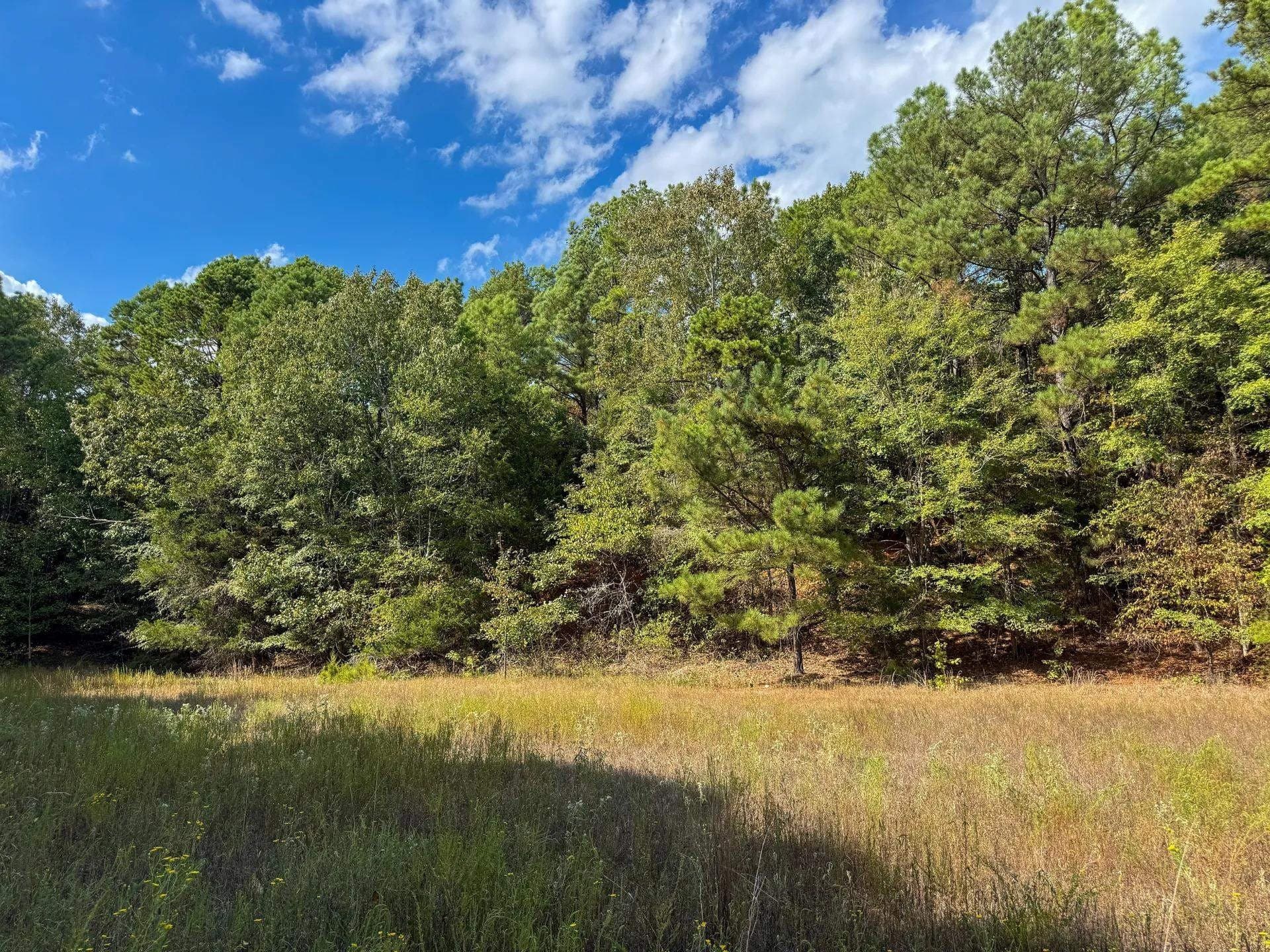 38.87 acres in Marion County - photo 11