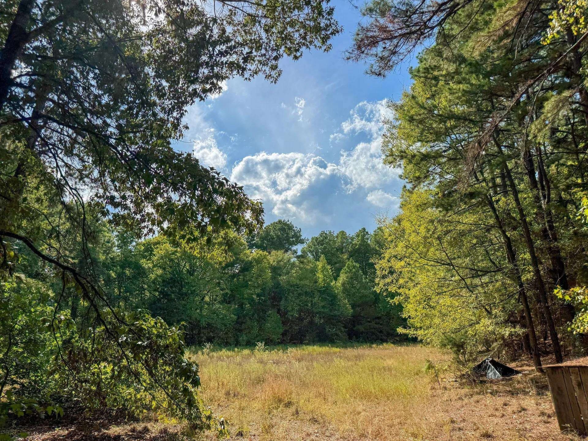 38.87 acres in Marion County - photo 10