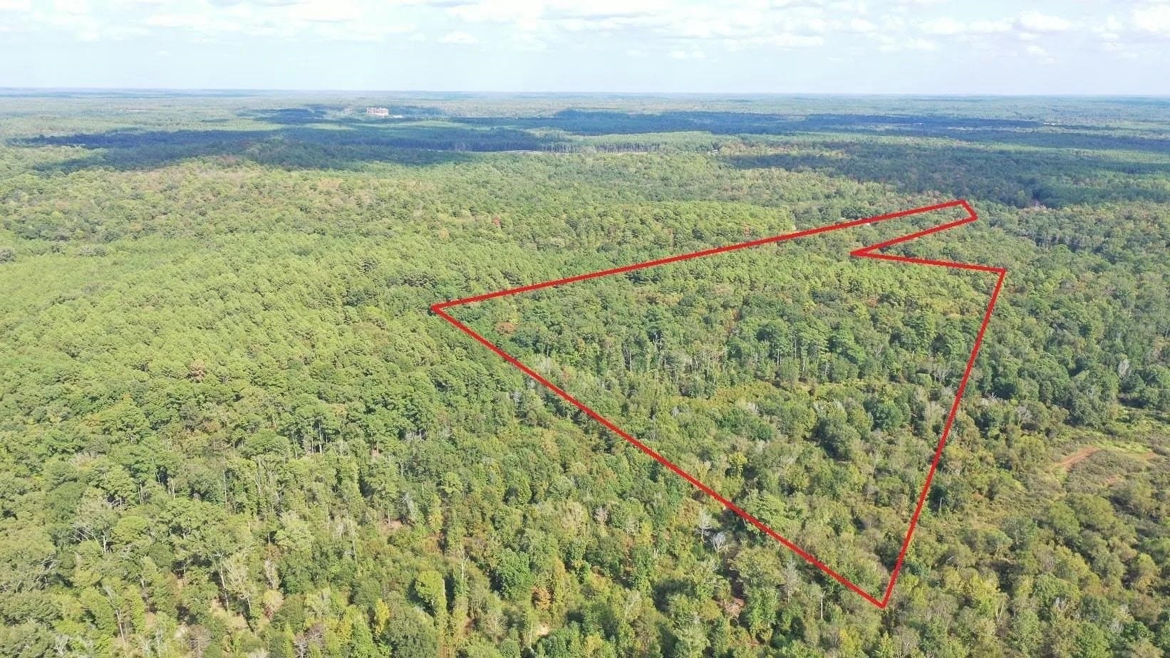 38.87 acres in Marion County