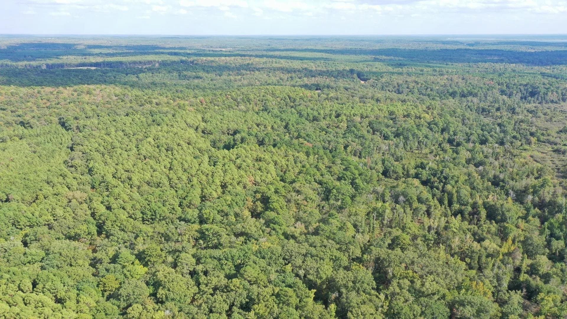 38.87 acres in Marion County - photo 4